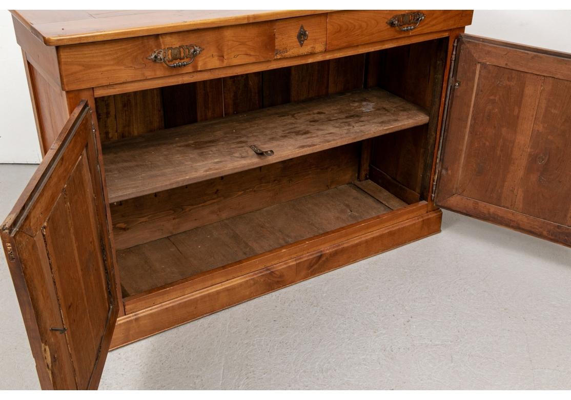 Rustic 19th Century Continental Server Cabinet For Sale 3
