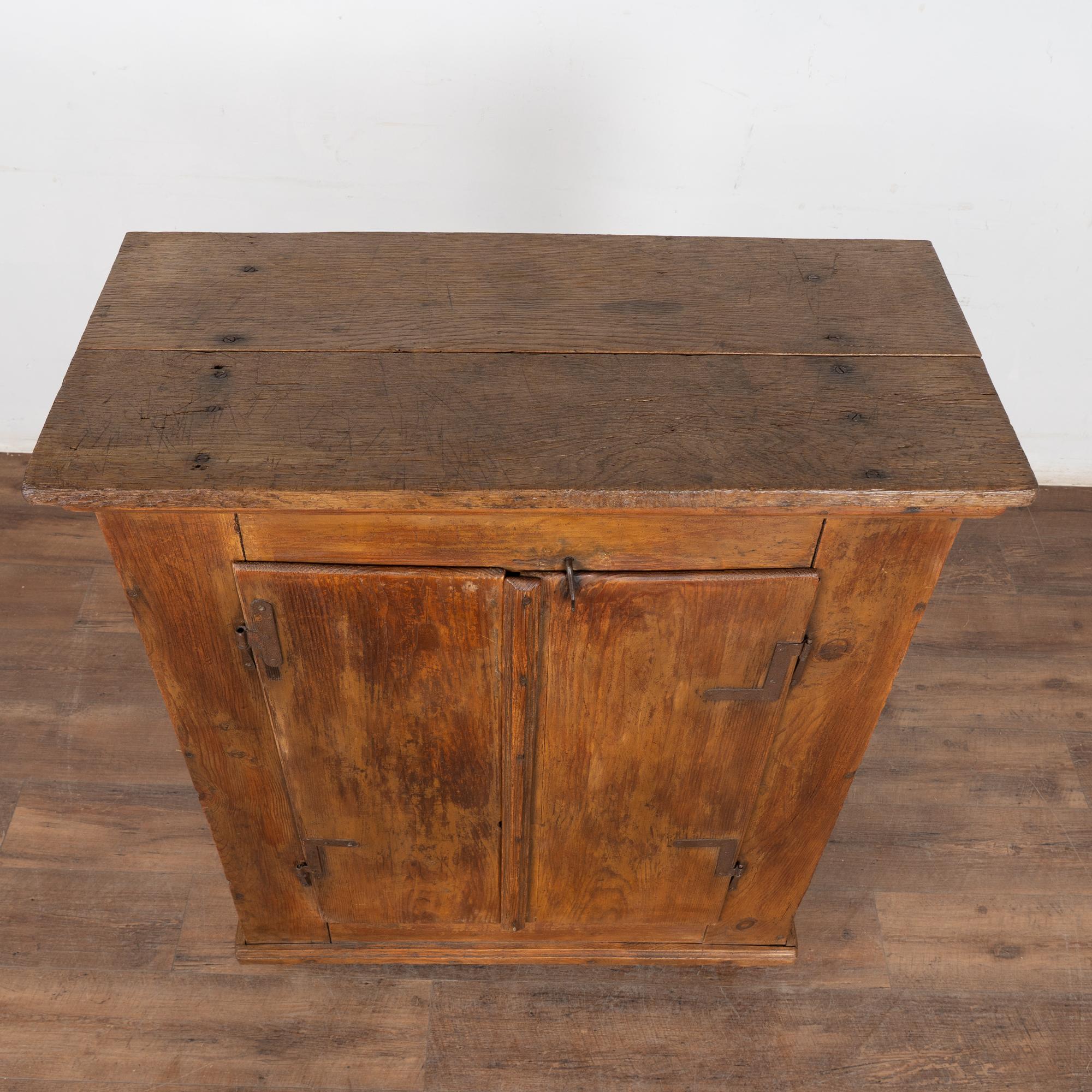 Rustikales Wood Wood Kabinett aus Ungarn aus dem 19. (19. Jahrhundert) im Angebot