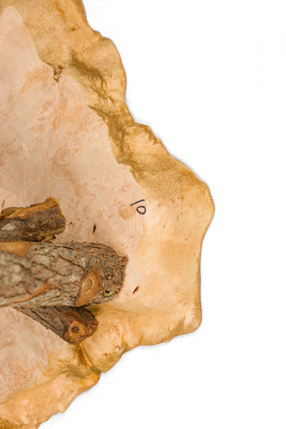 Rustic Adirondack Scalloped Petrified Wood and Branch Base Side / End Table For Sale 2