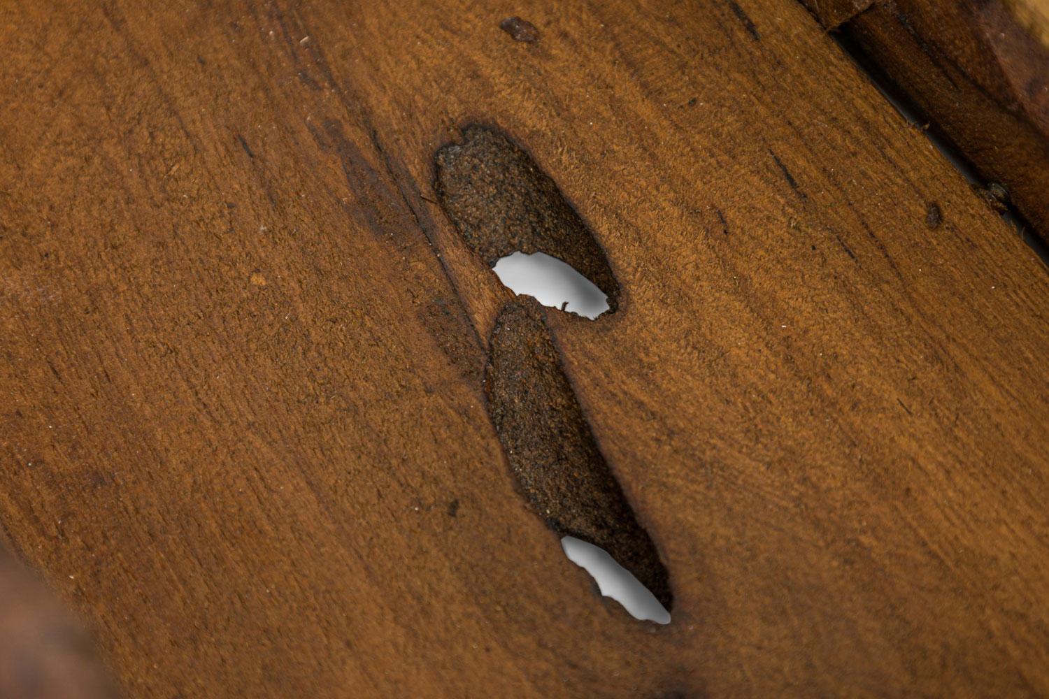 Rustic Adirondack Style Hinged Wooden Box For Sale 5