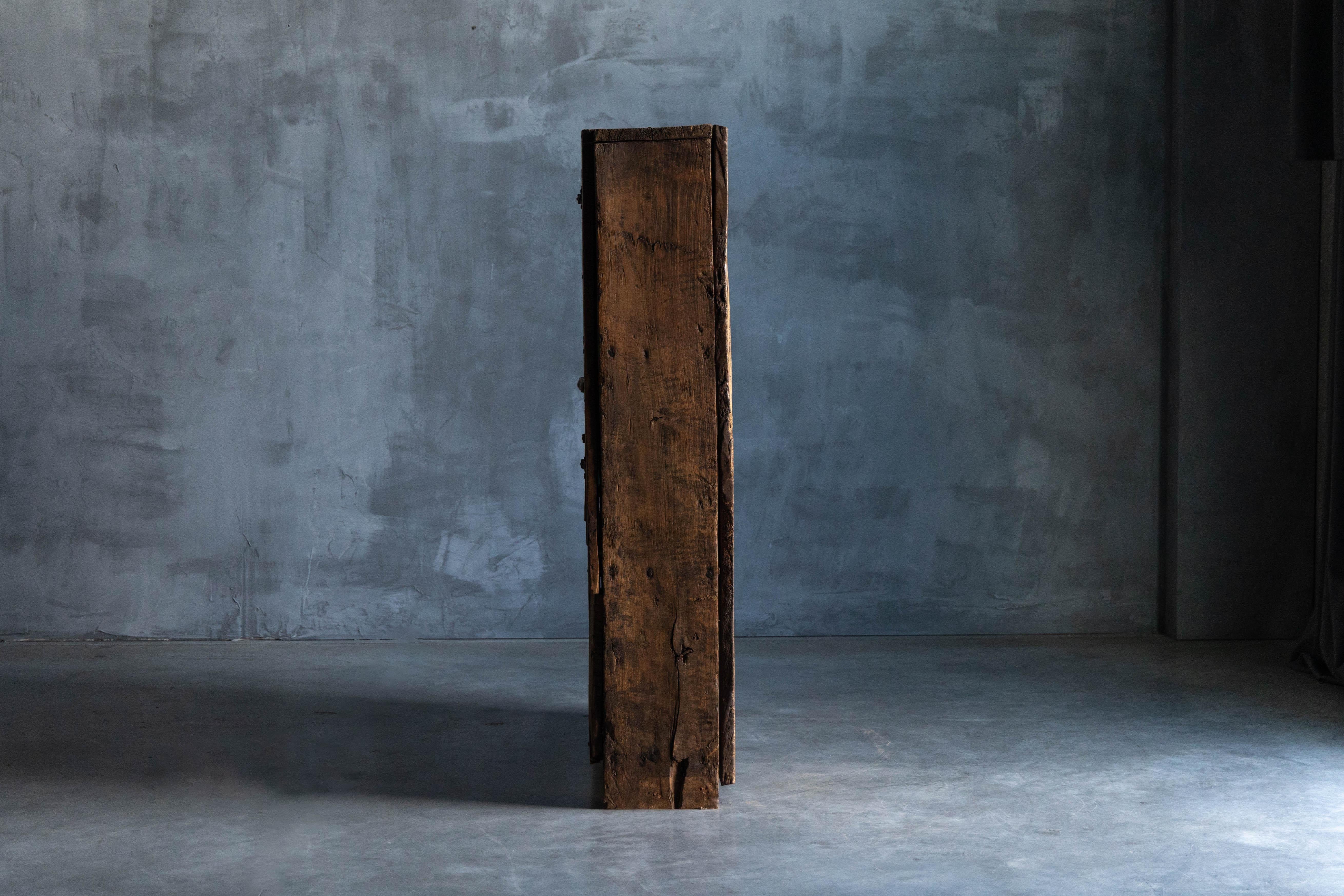 Rustic Alpine Cabinet, France, 19th Century 6