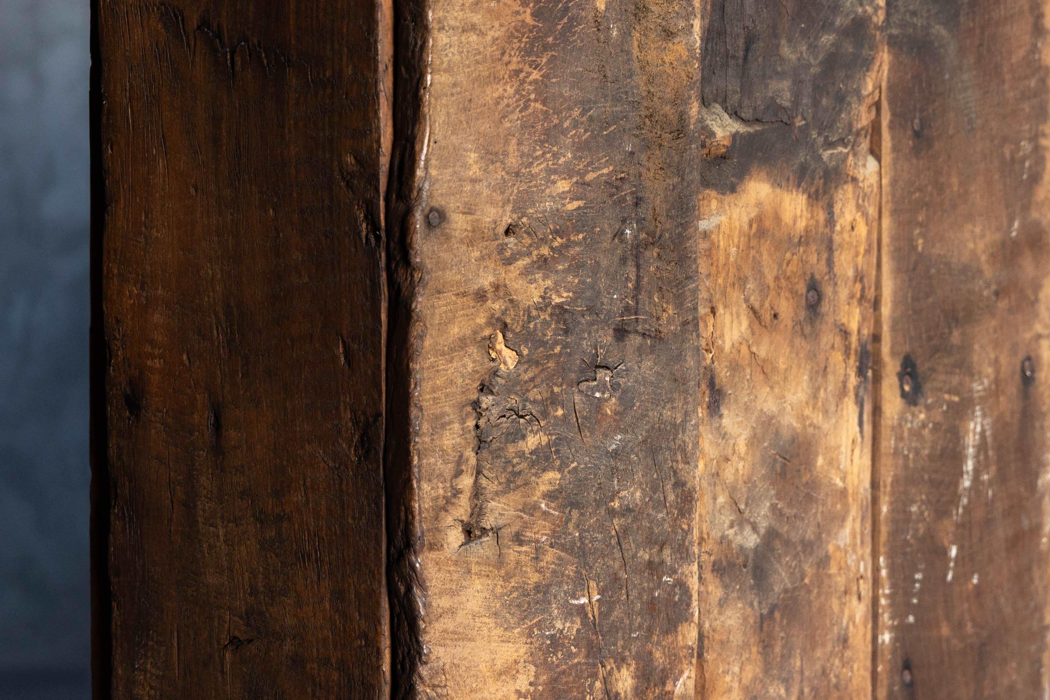 Rustic Alpine Cabinet, France, 19th Century 8