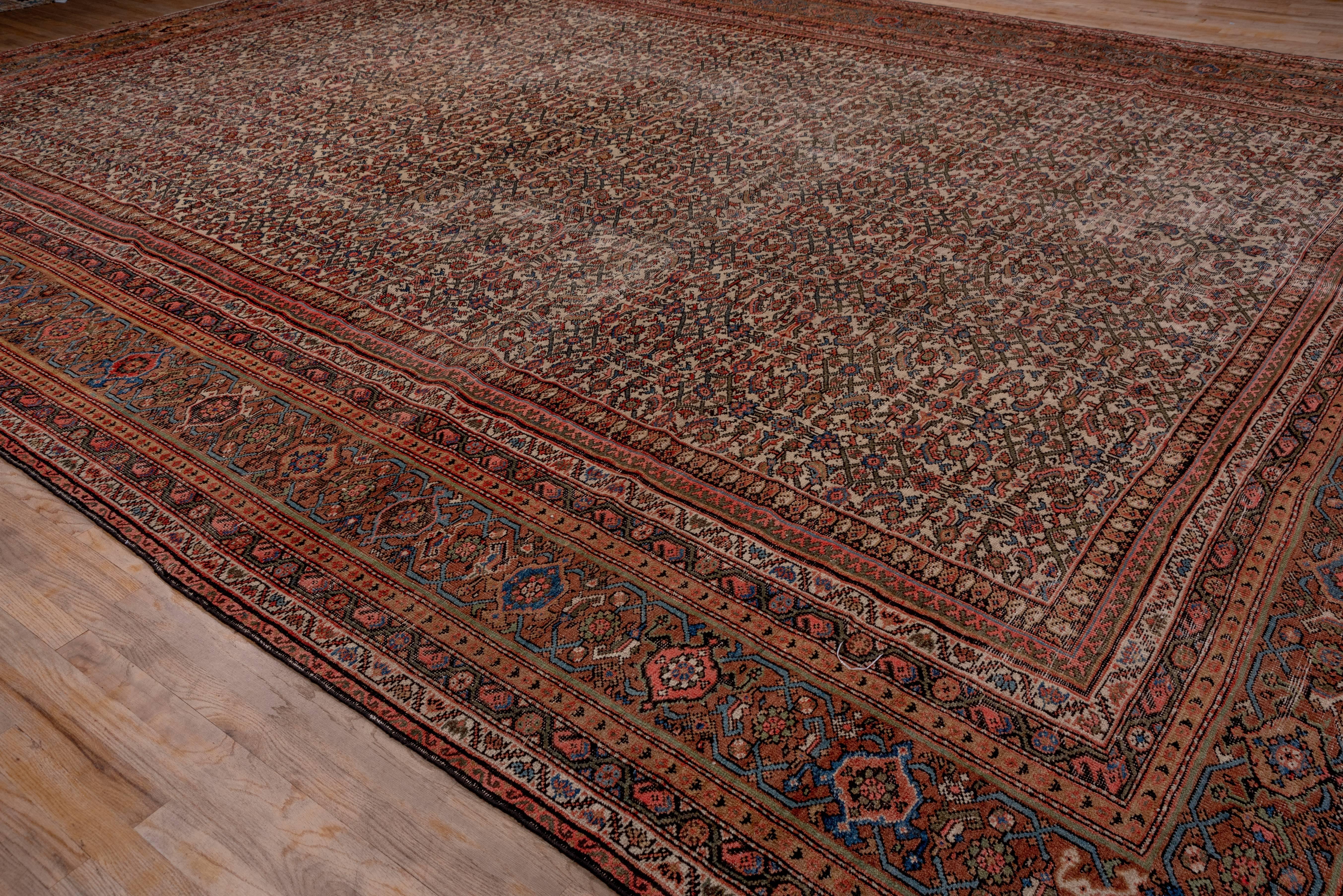 The ivory field shows a small scale, close Herati allover pattern within a rosy brown turtle palmette border and minors patterned with two styles of boteh ornament. The colors are slightly mellow. This west Persian rustic carpet has overall wear,