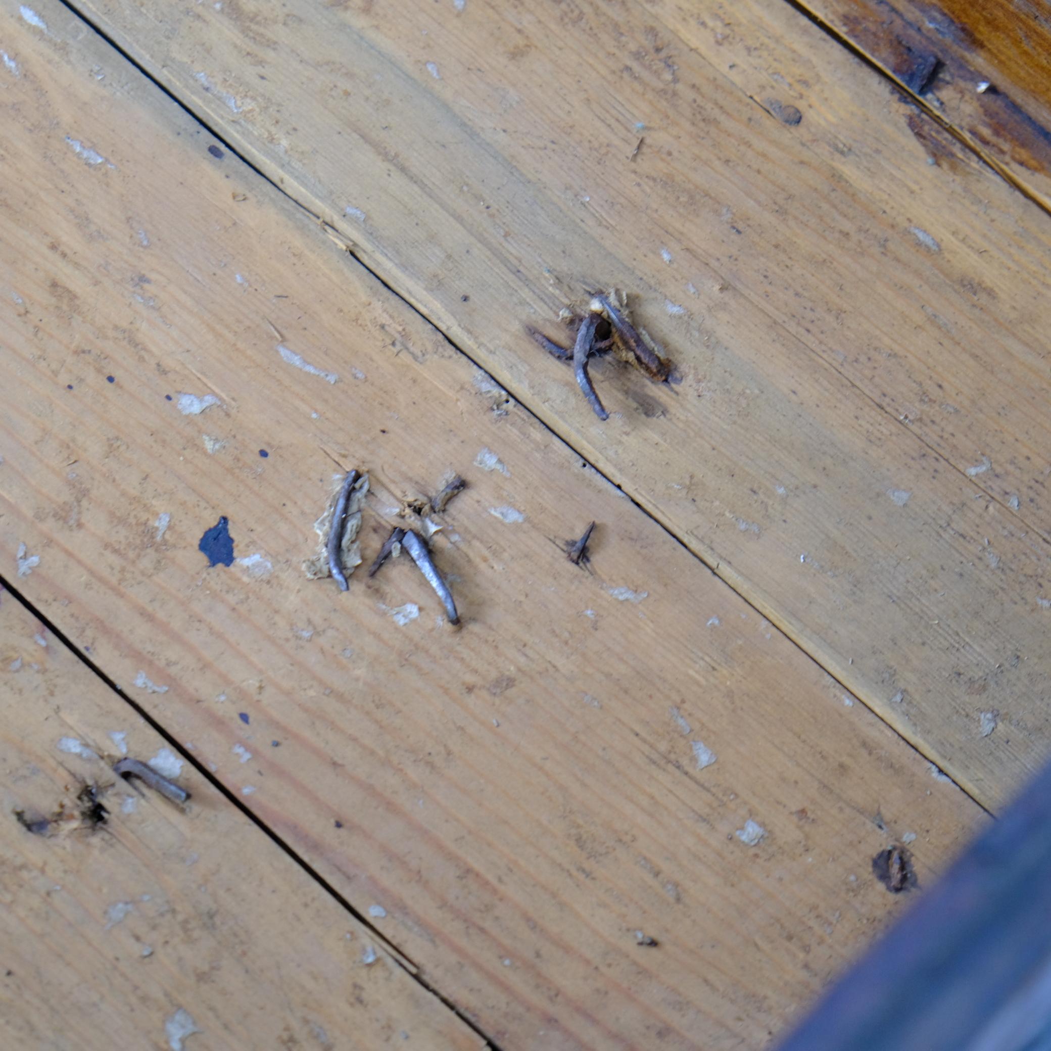 Métal Coffre rustique ancien en bois de paysan, brun foncé, Finlande, 19e siècle en vente