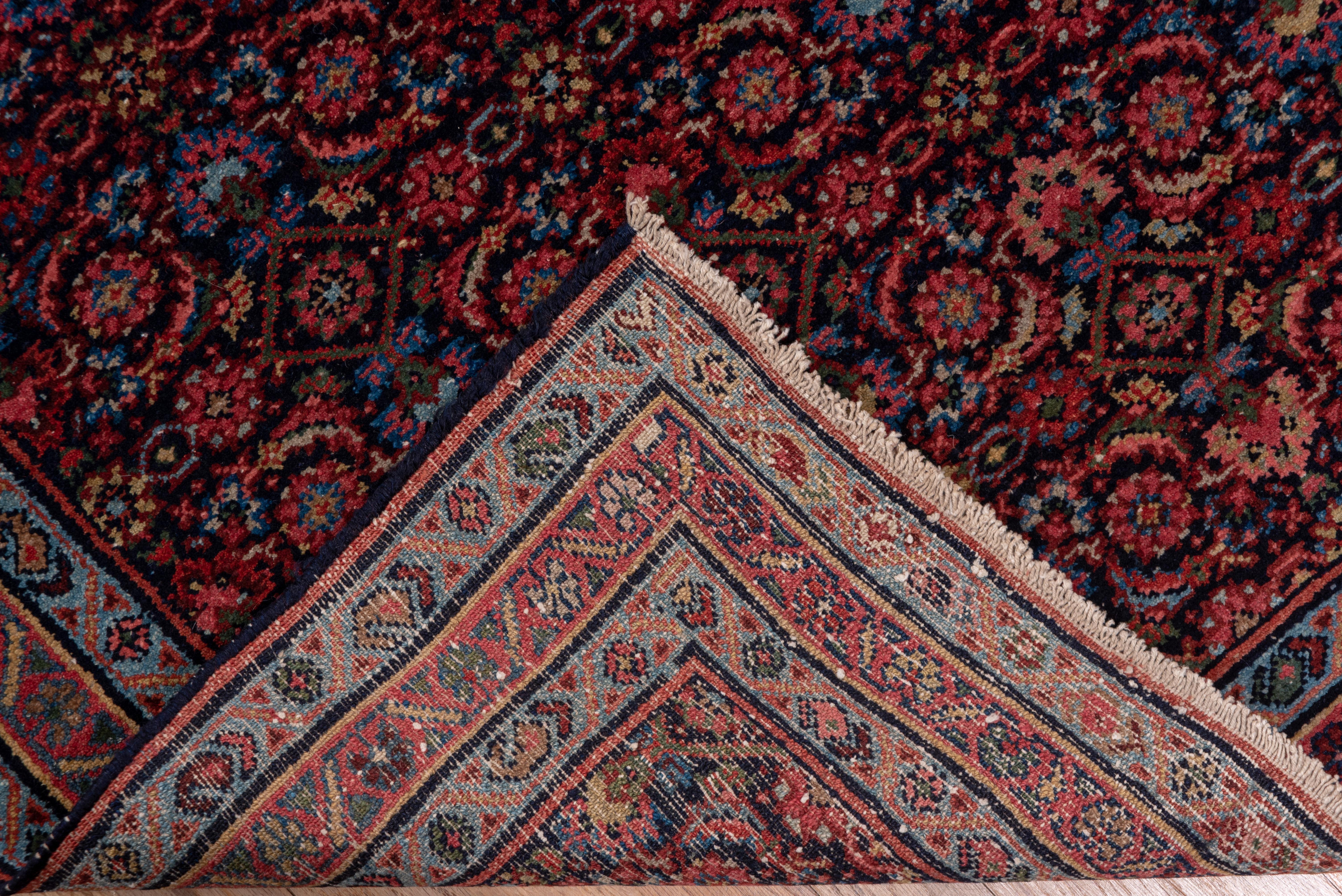 The navy field is perfectly fitted with a dense allover Herati design accented in crisp light blue and mid-red. Narrow borders with boteh chains and reversing fan palmettes. Good, medium rustic West Persian weave on cotton foundation.