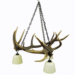 Rustic Antler Lamp with Deer Antlers
