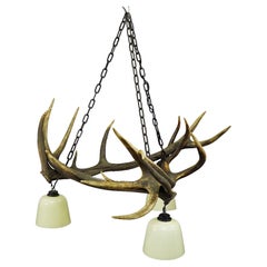 Vintage Rustic Antler Lamp with Deer Antlers