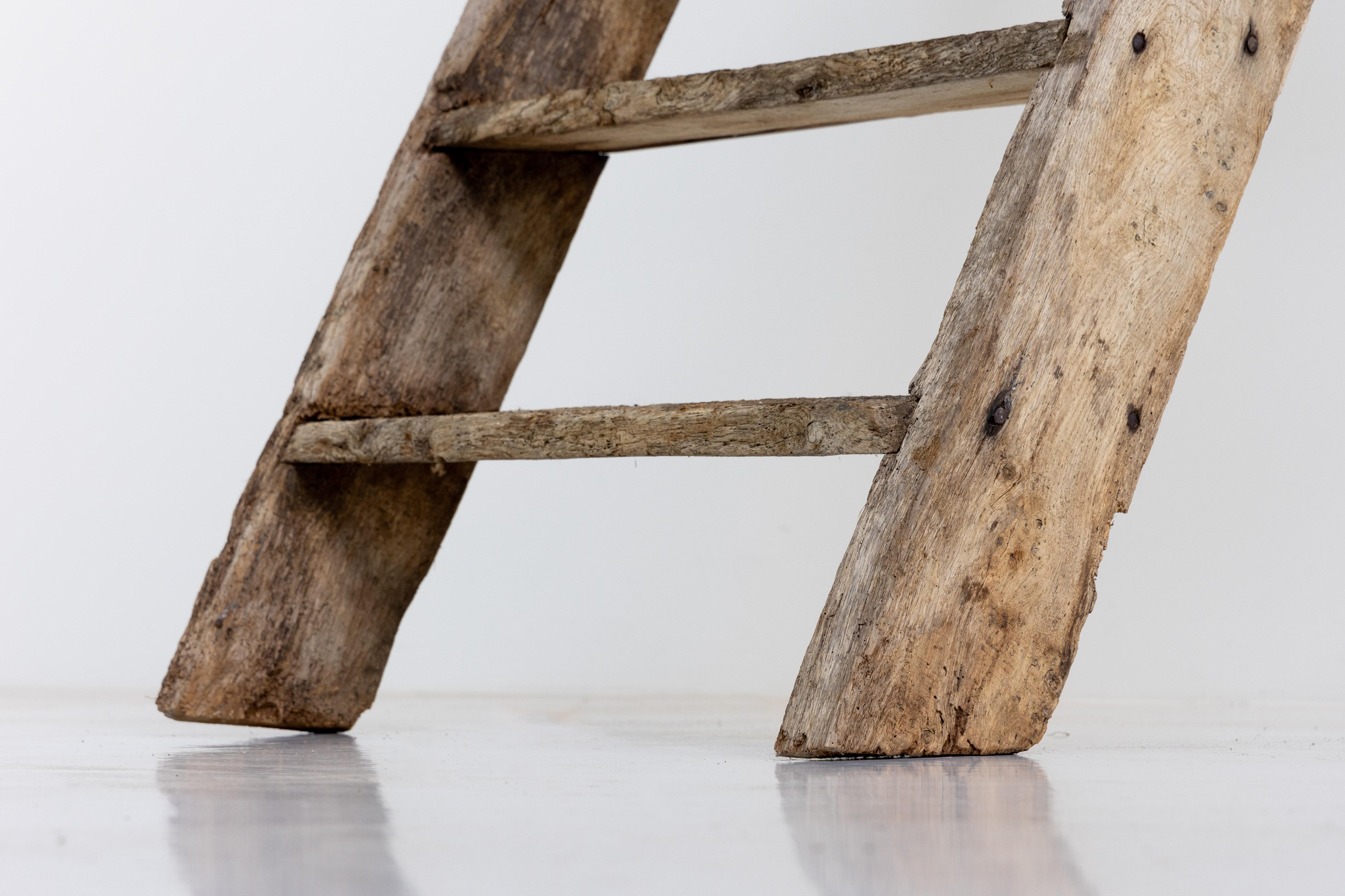 Rustic Art Populaire Ladder, France, 20th Century For Sale 7