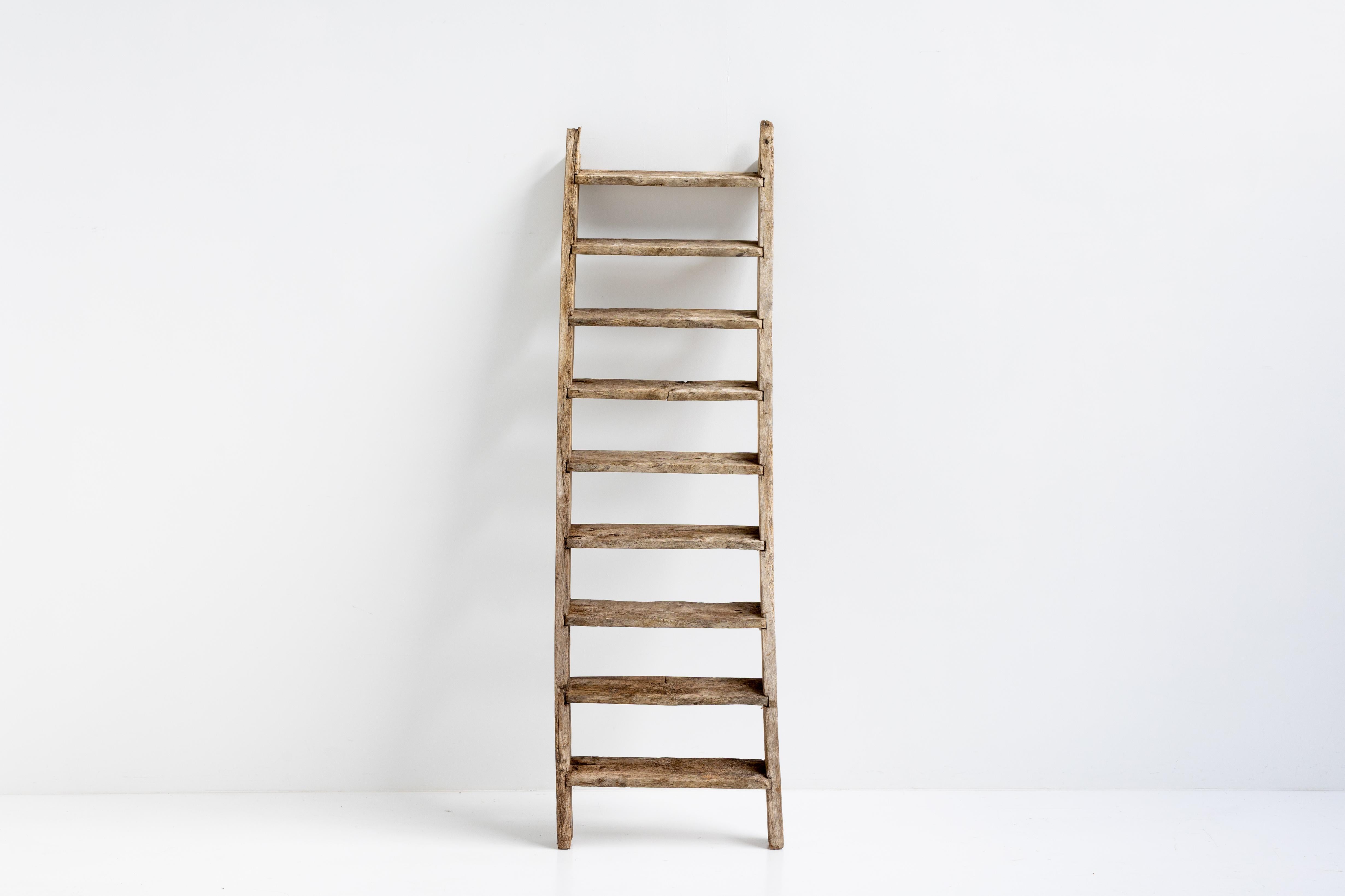 French Rustic Art Populaire Ladder, France, 20th Century For Sale