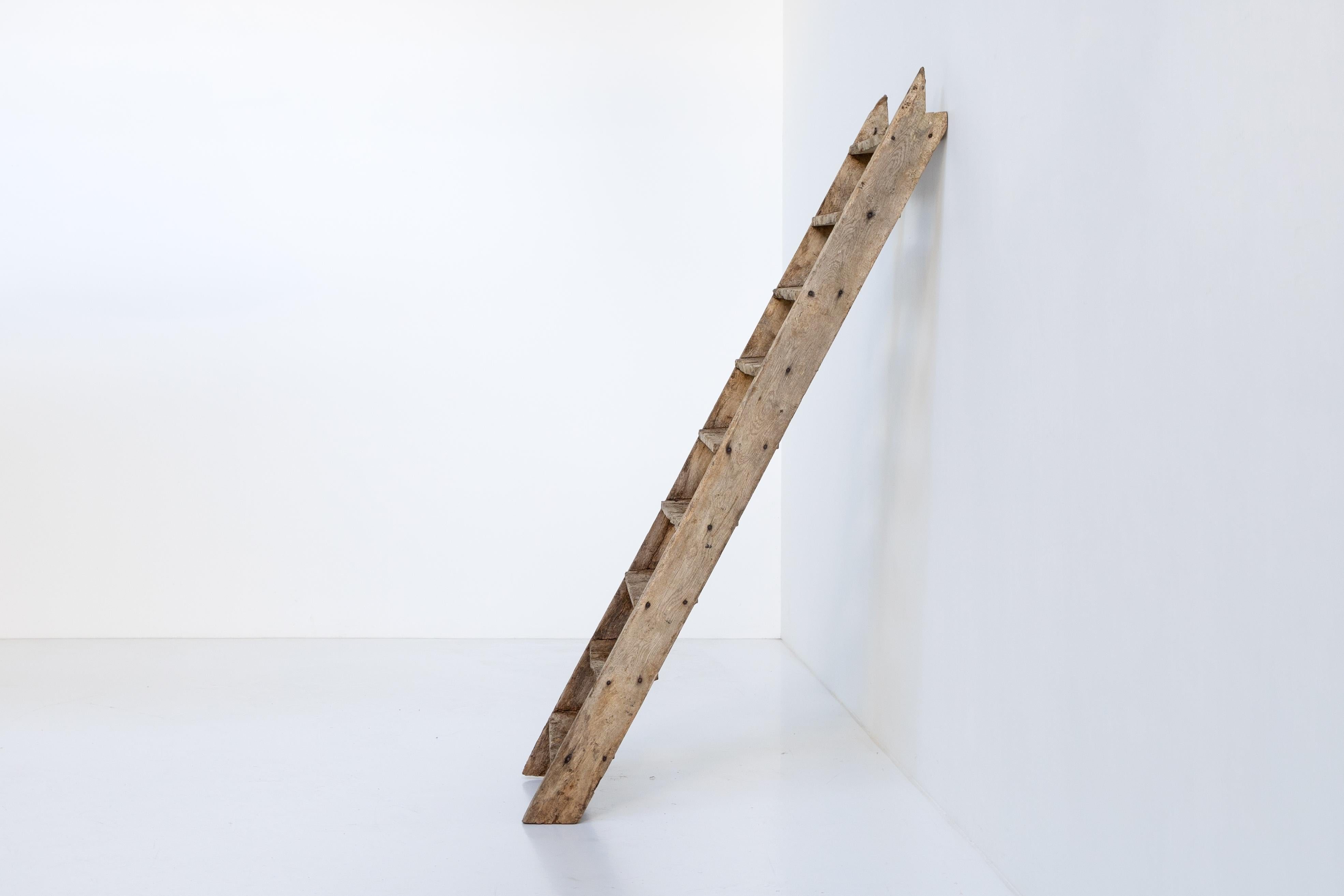 Rustic Art Populaire Ladder, France, 20th Century In Excellent Condition For Sale In Antwerp, BE