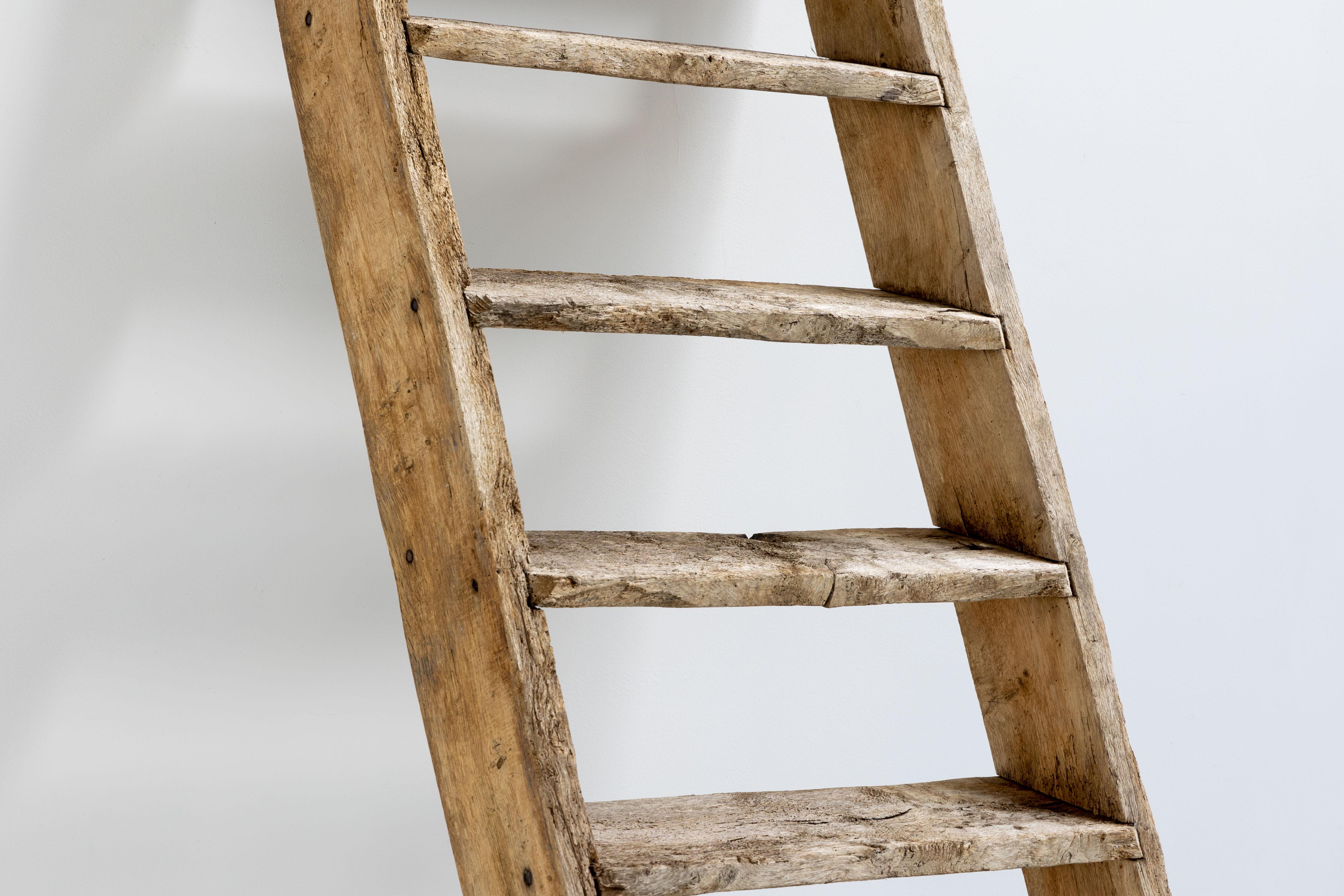 Rustic Art Populaire Ladder, France, 20th Century For Sale 1