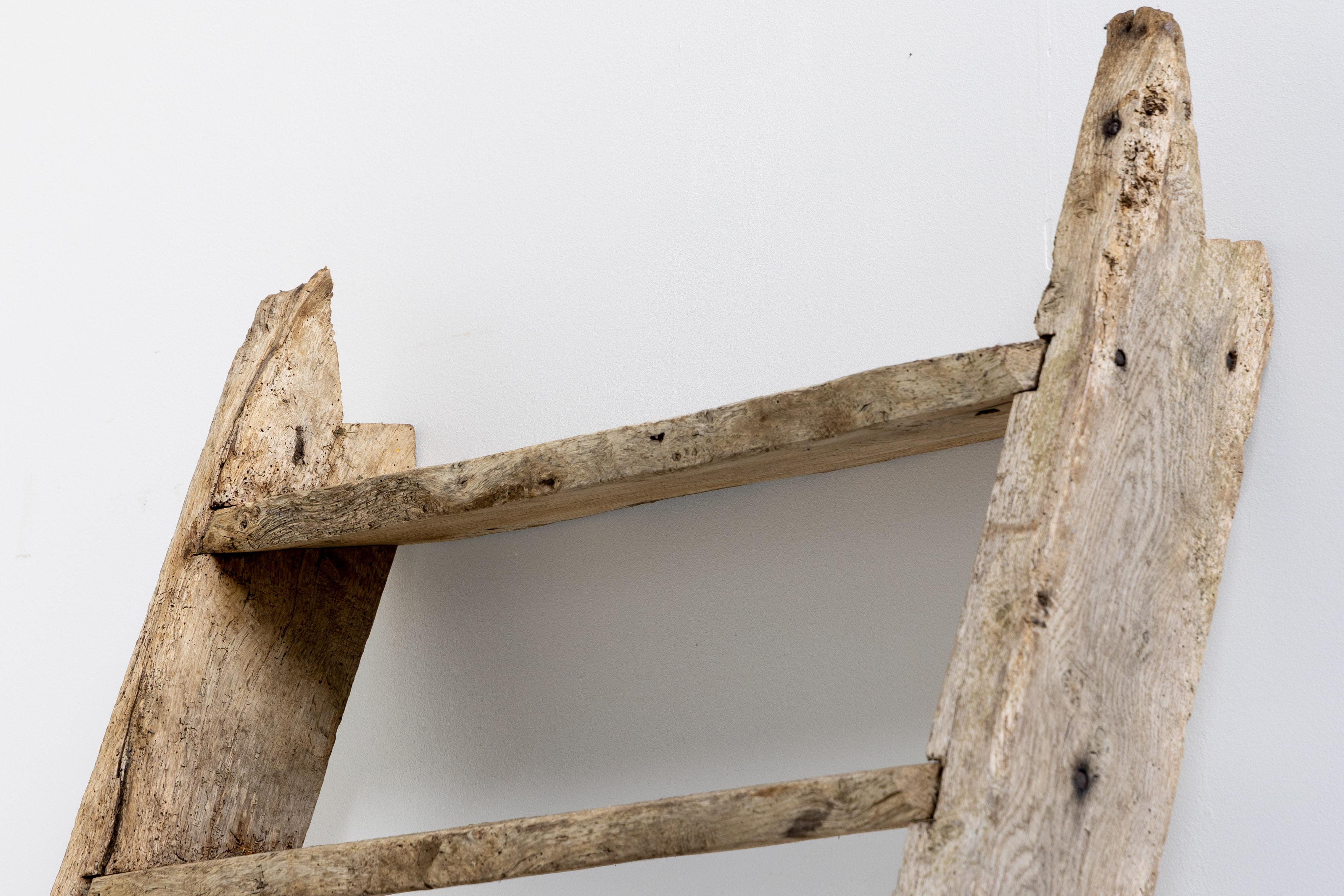 Rustic Art Populaire Ladder, France, 20th Century For Sale 4
