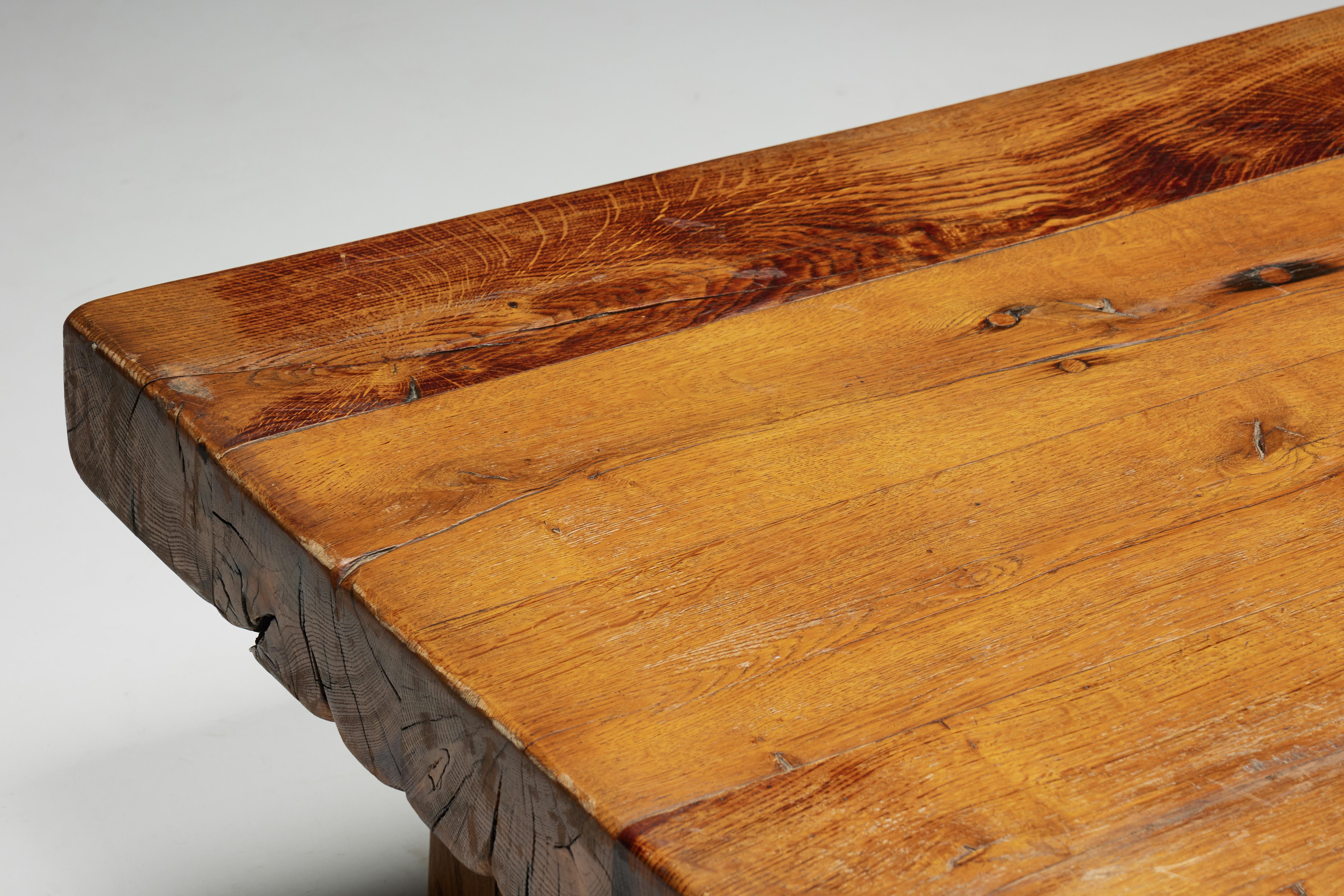 Rustic Artisan Coffee Table, France, 1950s For Sale 4
