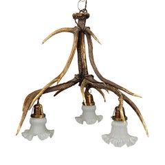 Rustic Black Forest Ceiling Lamp with Deer Antlers 1920s