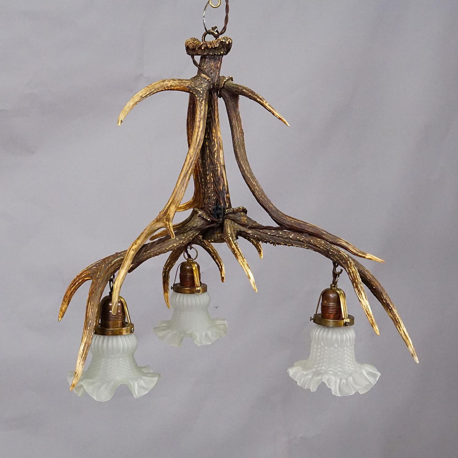 Rustico Lampada da soffitto rustica Black Forest con corna di cervo del 1920 in vendita
