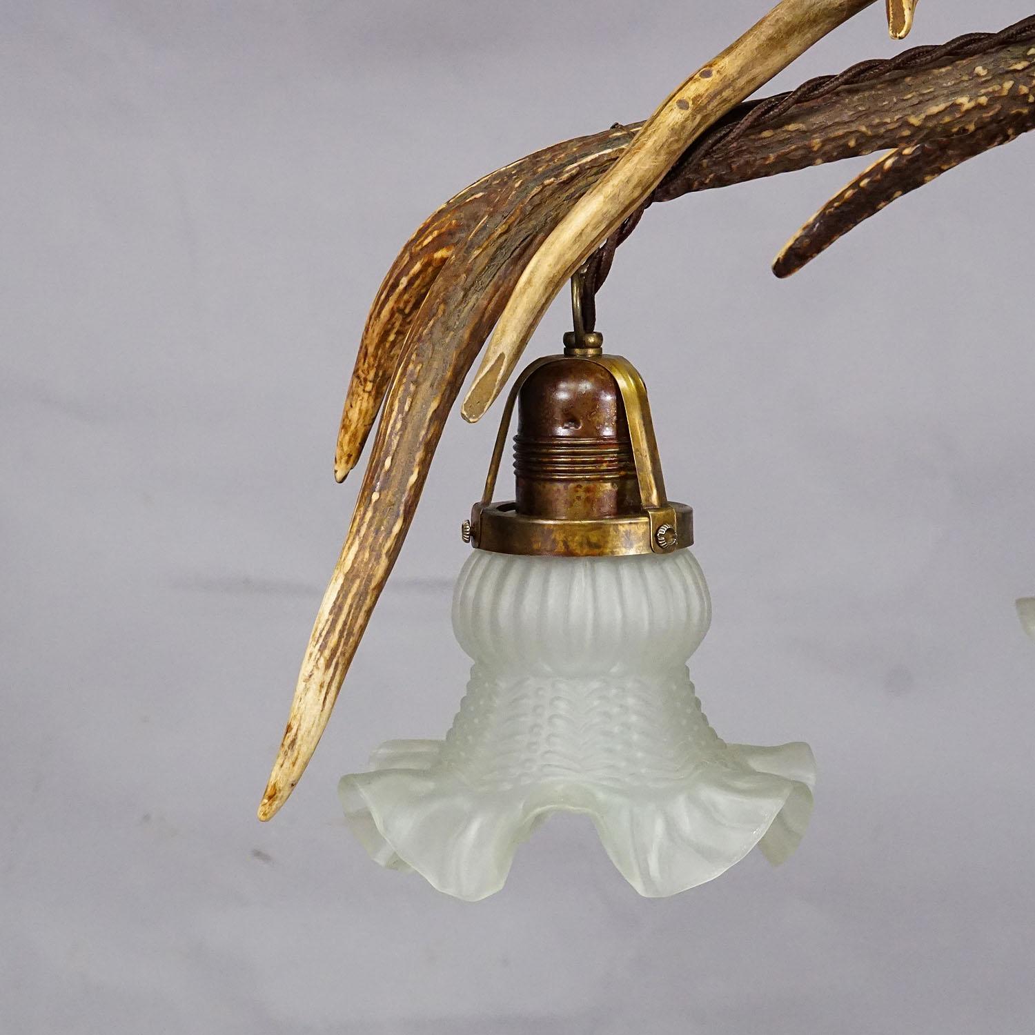 Lampada da soffitto rustica Black Forest con corna di cervo del 1920 In condizioni buone in vendita a Berghuelen, DE