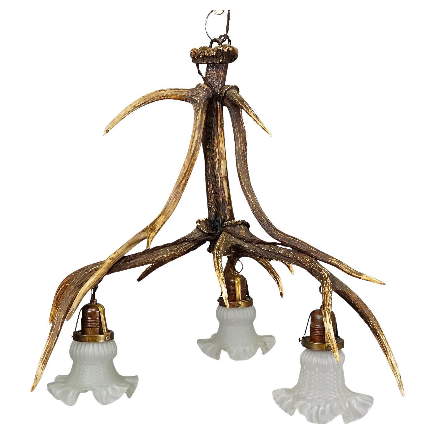 Rustic Black Forest Ceiling Lamp with Deer Antlers 1920s