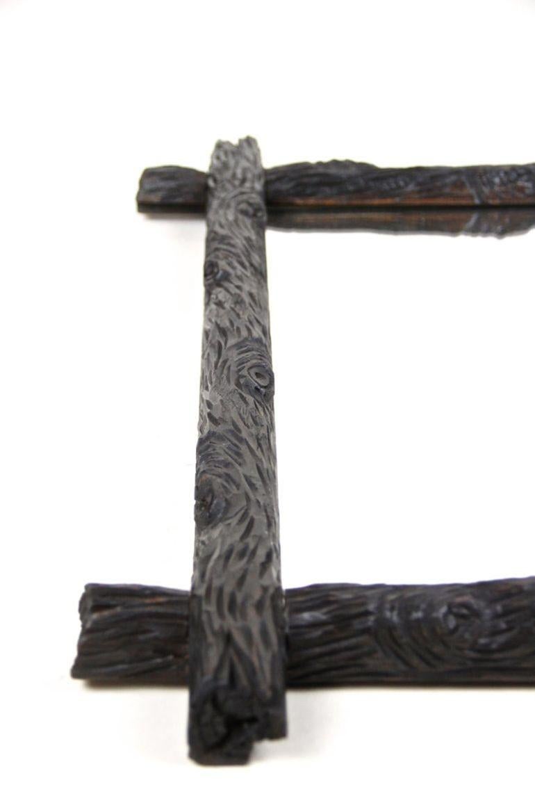 Rustic Black Forest Wall Mirror, Hand Carved, Austria, circa 1880 en vente 5