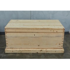 Rustic Bleached Pine Trunk