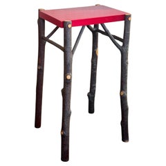 Rustic Branch and Twig Console Table by Jim Deardorff