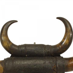 Rustic Buffalo Horn Taxidermy