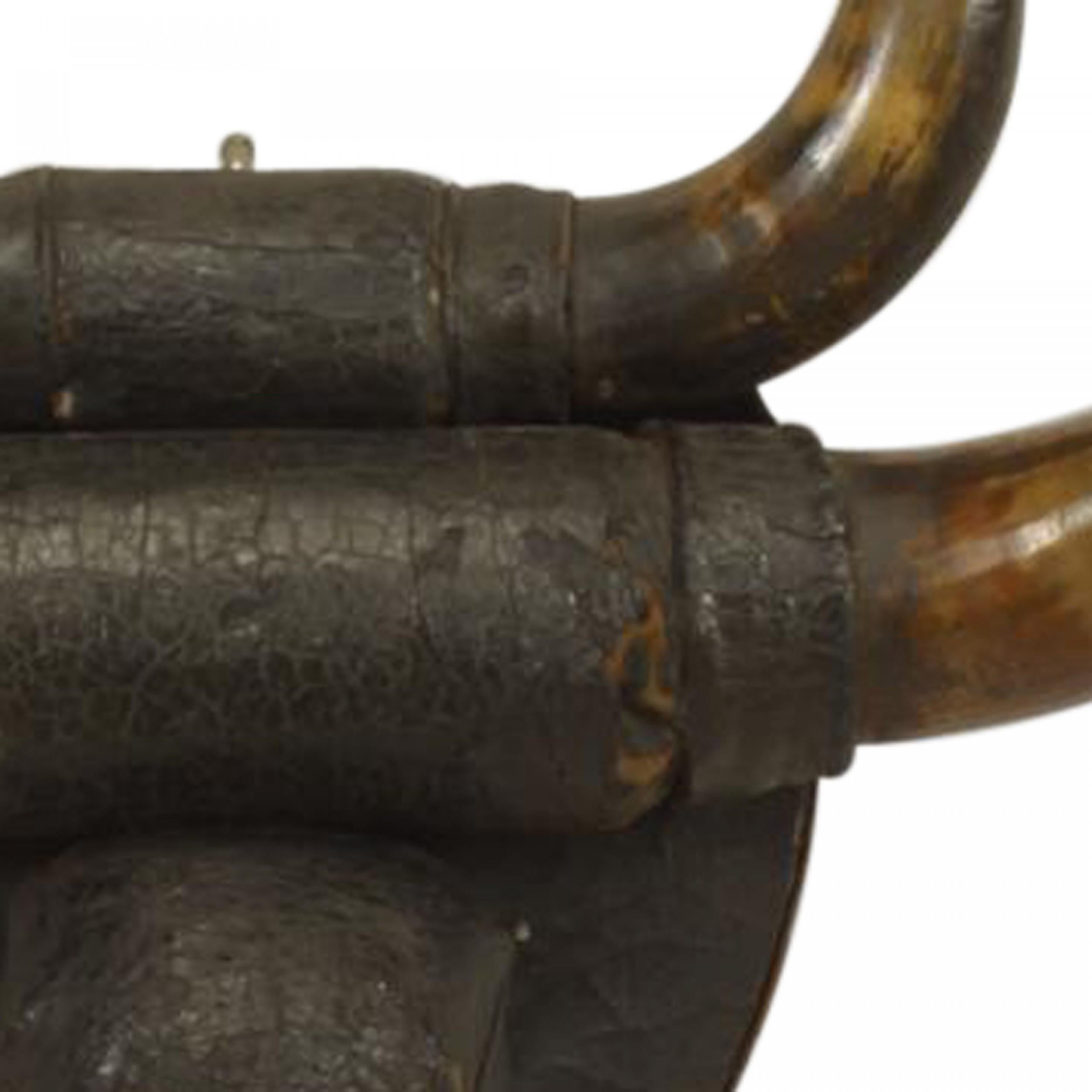 Taxidermia Rústica de Cuerno de Búfalo Estadounidense en venta