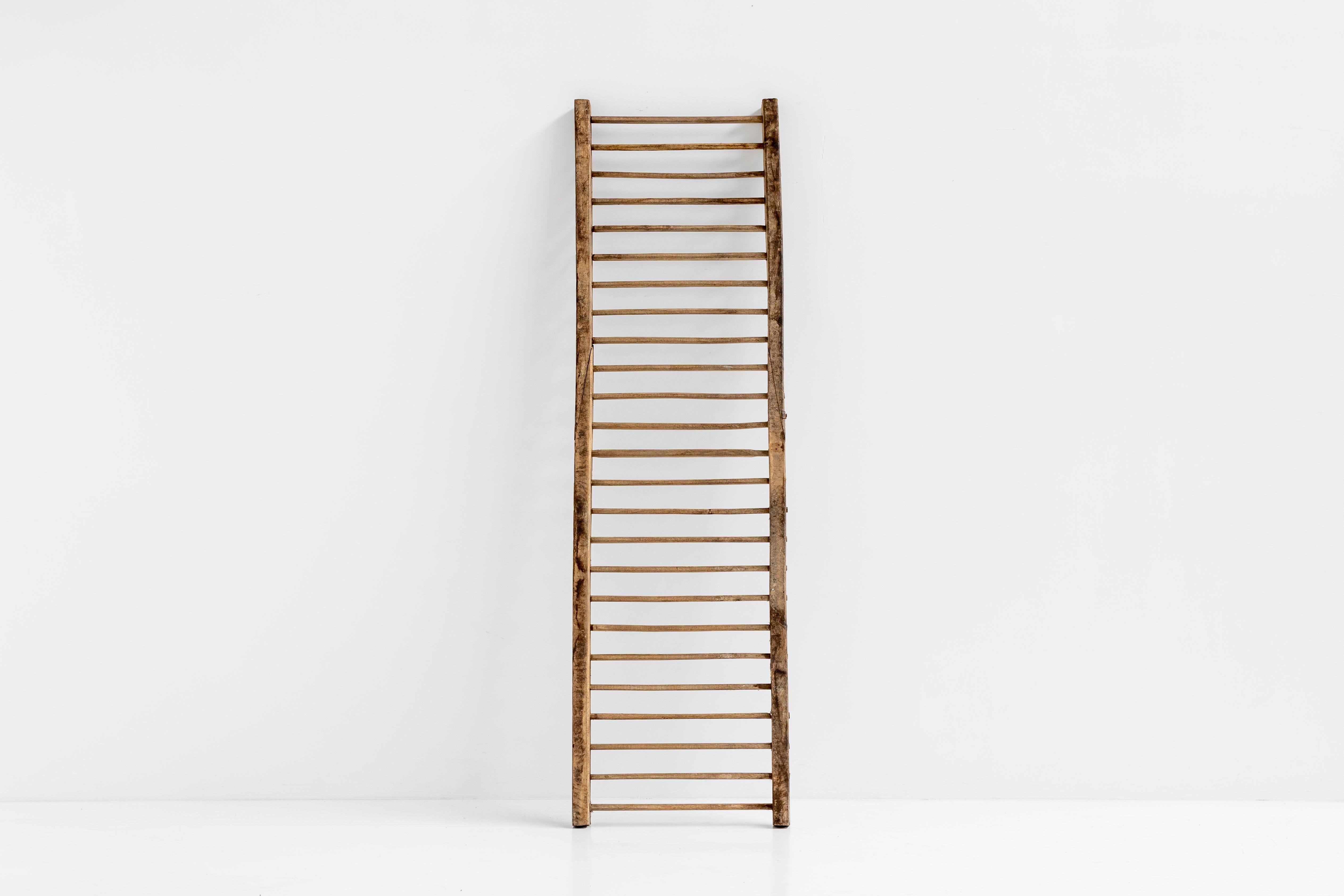 Rustic; Climbing Frame; Ladder; Monoxylite; Wabi Sabi; Antique; France; 20th Century; Art Populaire; Travail Populaire;

Rustic climbing frame from the early 20th century, a versatile work of art for your interior reminiscent of bygone eras. This