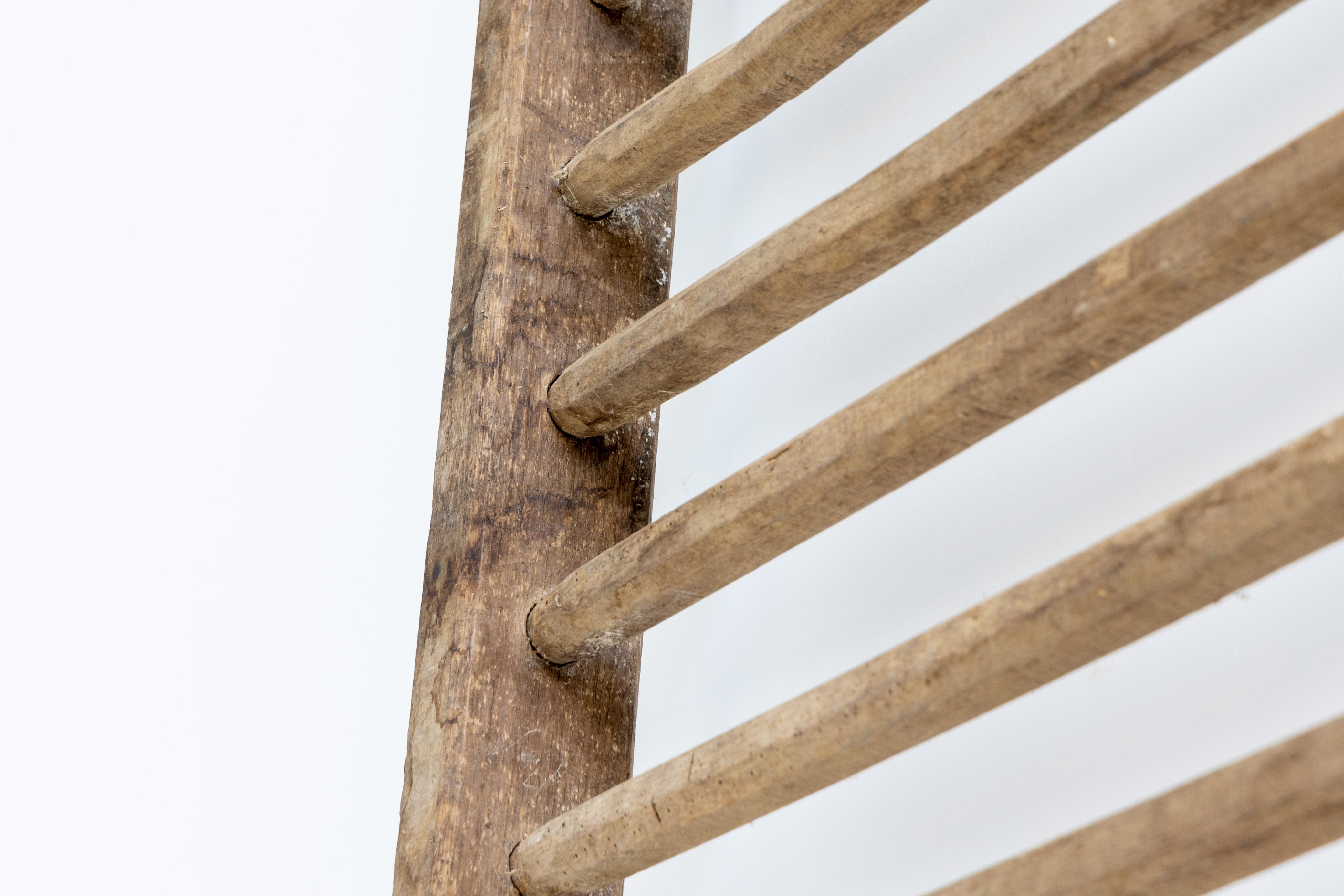 French Rustic Climbing Frame, France, 20th Century For Sale