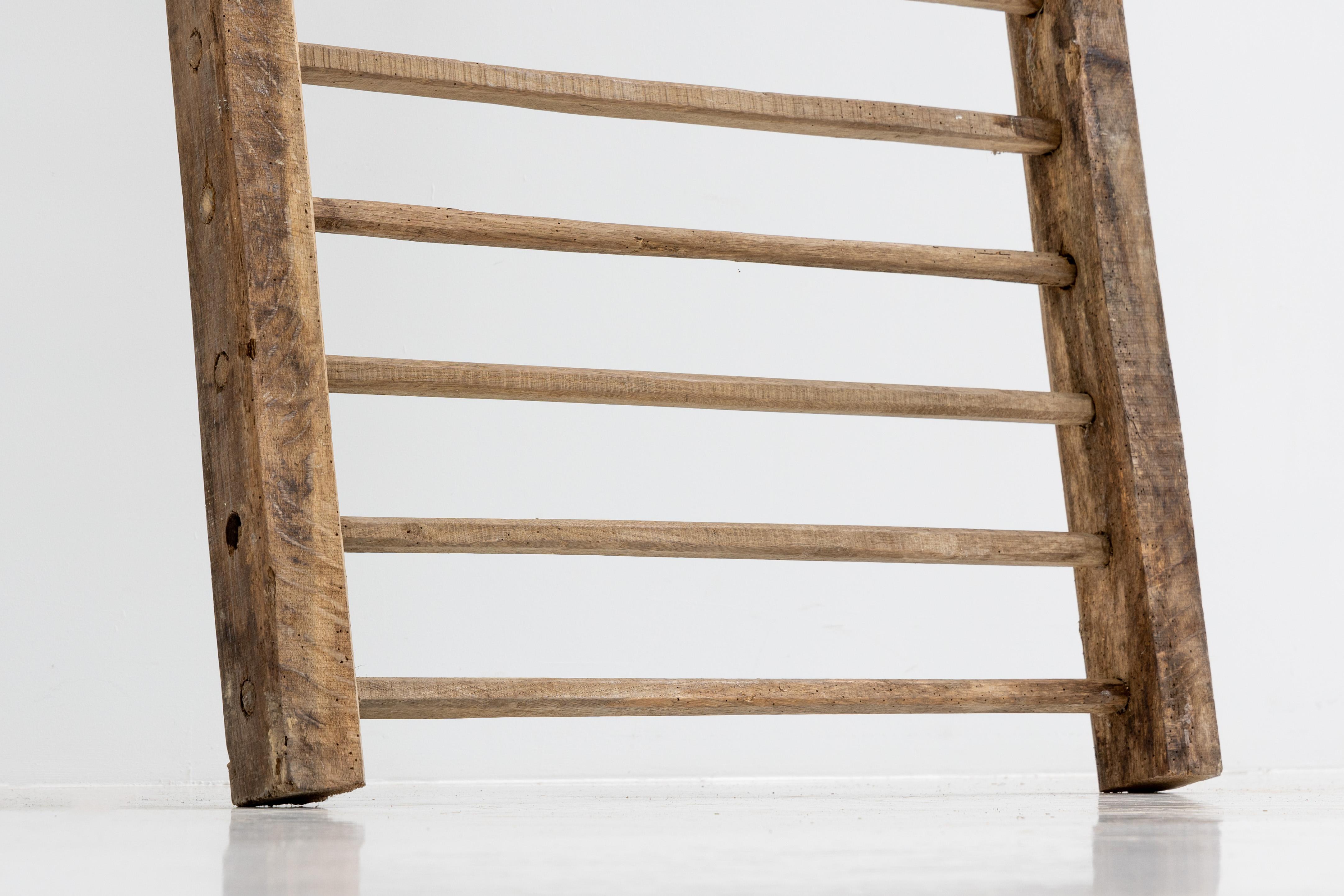 Rustic Climbing Frame, France, 20th Century In Excellent Condition For Sale In Antwerp, BE