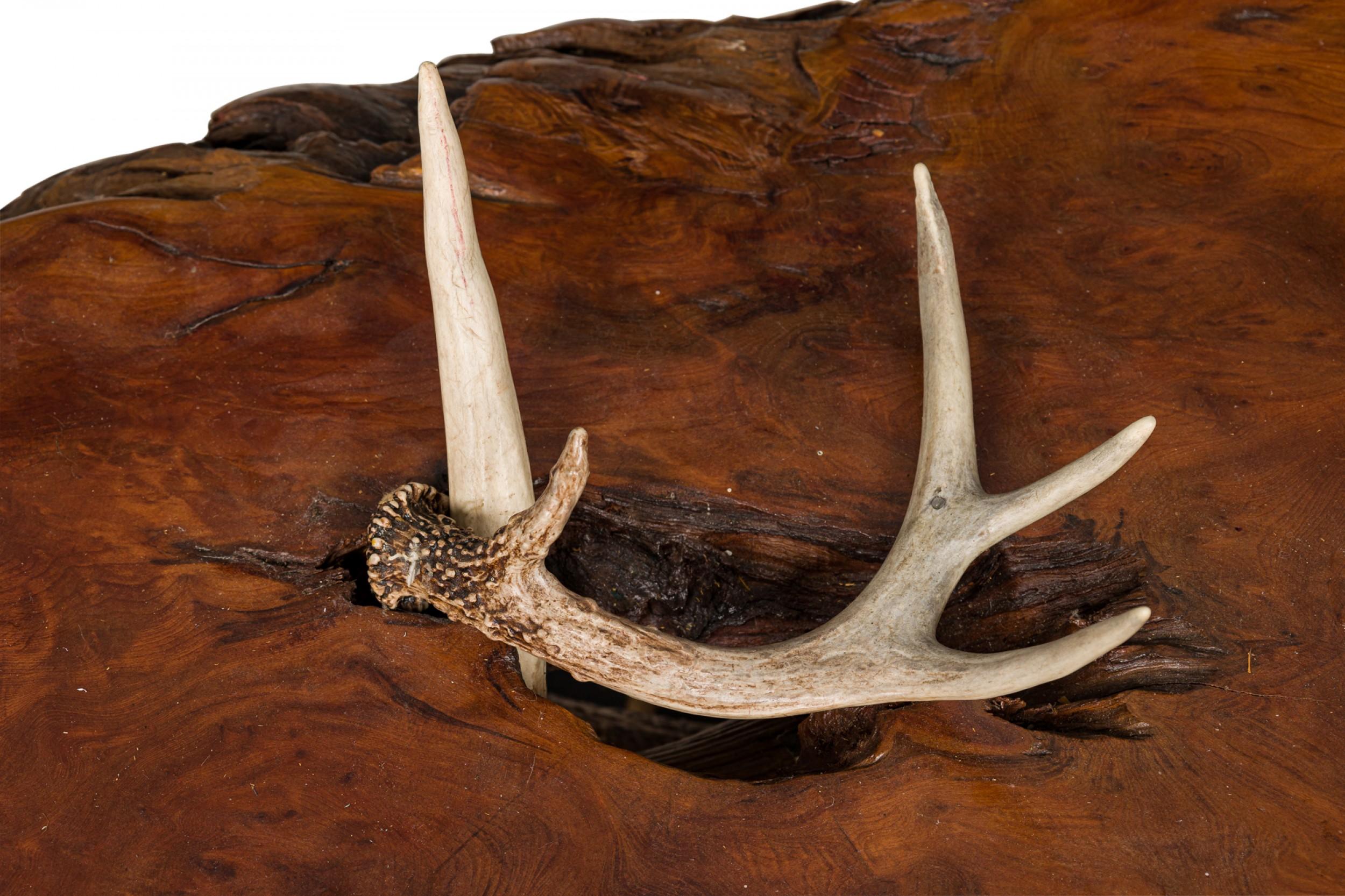 20th Century Rustic Continental Style Live Edge Wood and Faux Antler Coffee Table