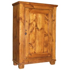 Antique Rustic Cupboard / Single Door Armoire