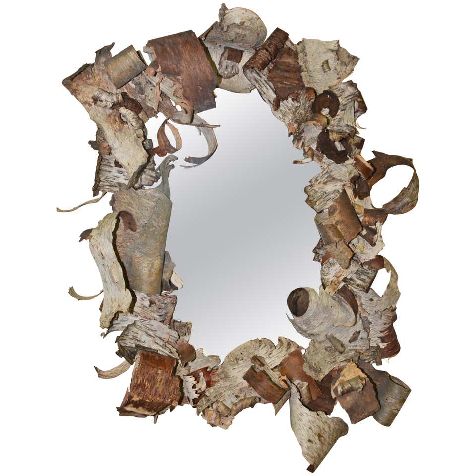 Pair of French Rococo Mirrored Armoire Doors For Sale at 1stDibs ...