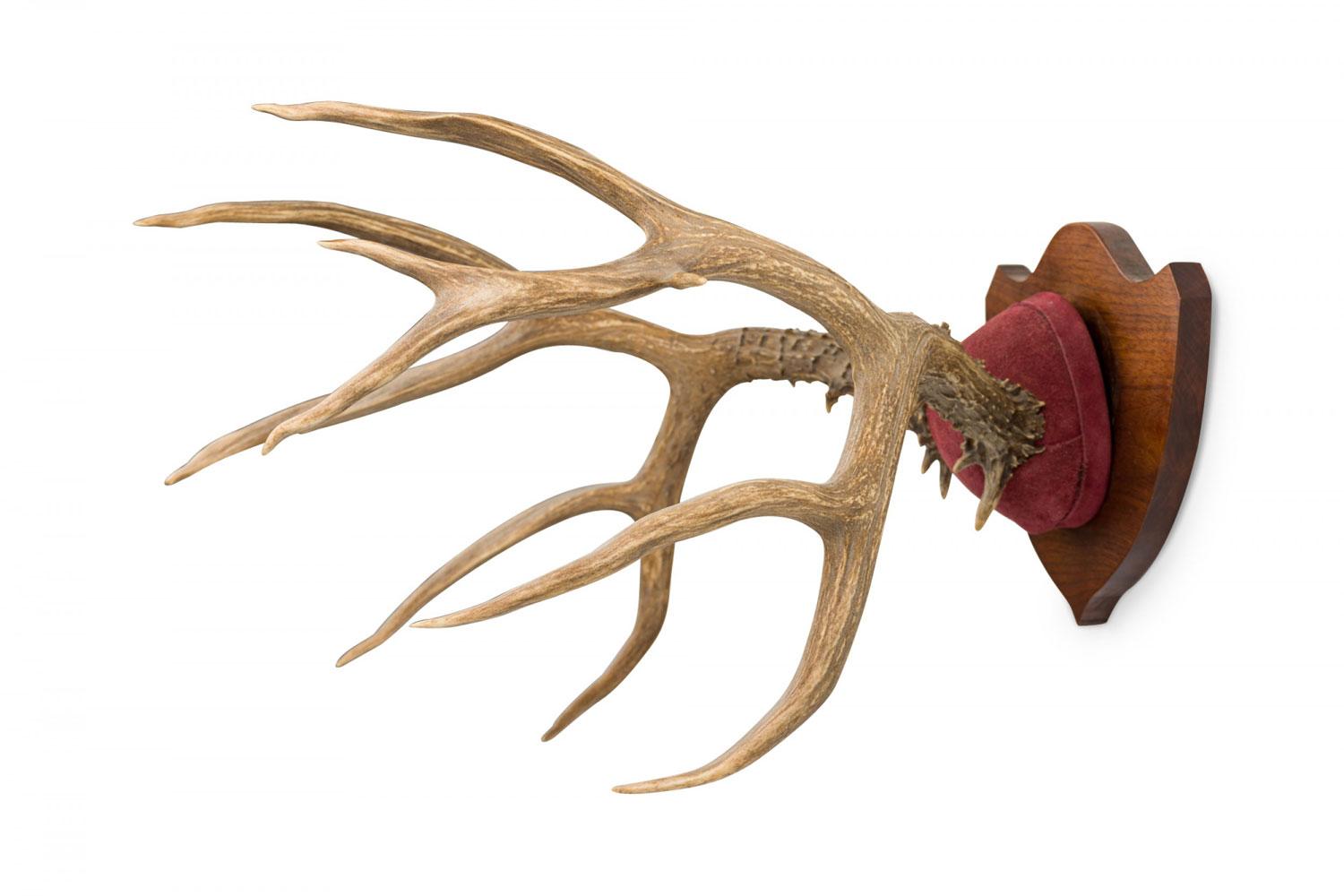 Rustic Decorative Deer Antler and Red Suede Wall Plaque im Zustand „Gut“ im Angebot in Queens, NY
