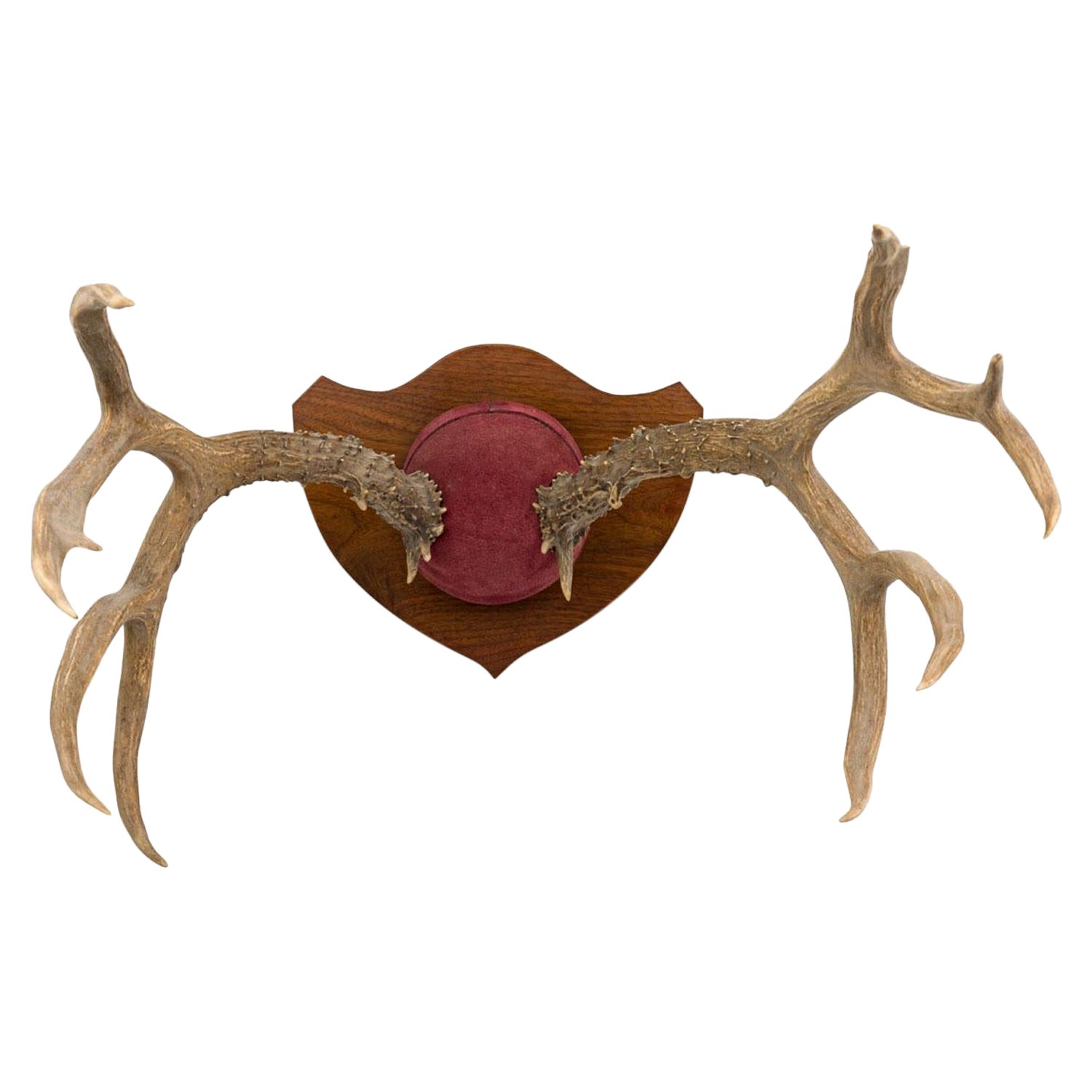 Rustikale dekorative Wandtafel aus Hirschgeweih und rotem Wildleder