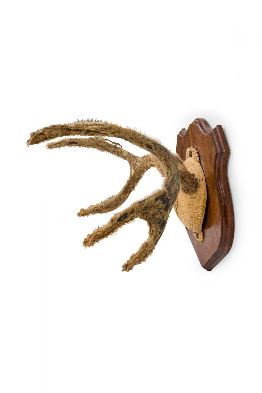 Rustikale dekorative Hirschgeweih Wandtafel (amerikanisch) im Angebot