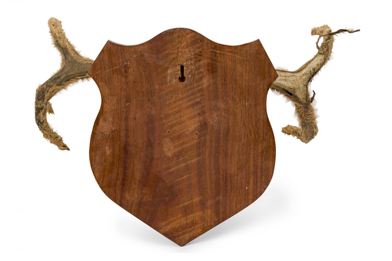 Rustikale dekorative Hirschgeweih Wandtafel im Angebot 3