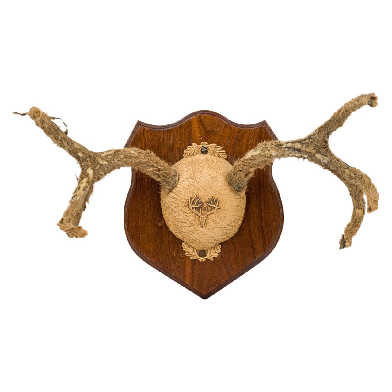 Rustic Decorative Deer Antler Wall Plaque