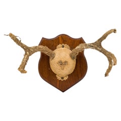 Rustic Decorative Deer Antler Wall Plaque