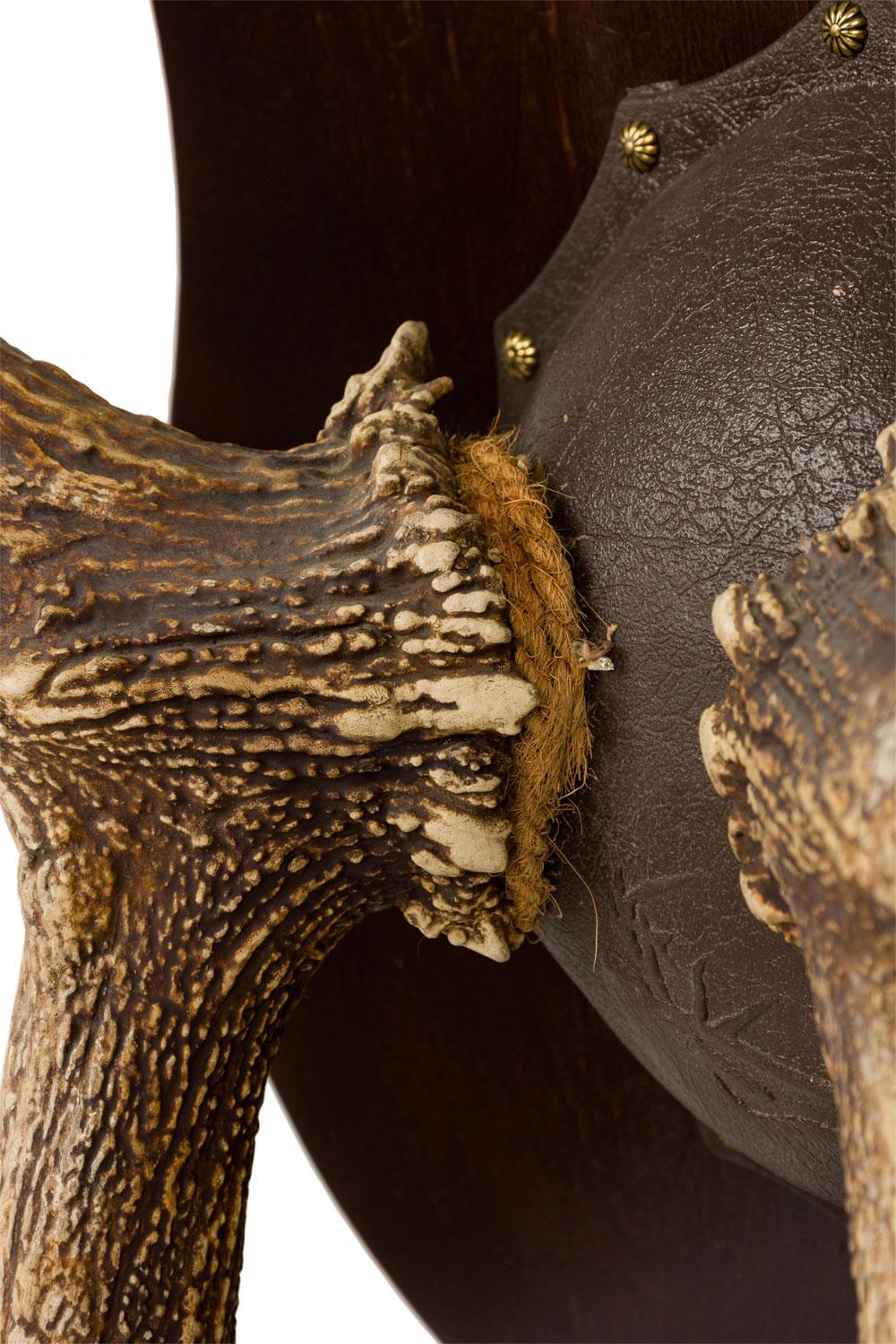 Rustikale dekorative Elchgeweih und Holz Wandtafel (amerikanisch) im Angebot