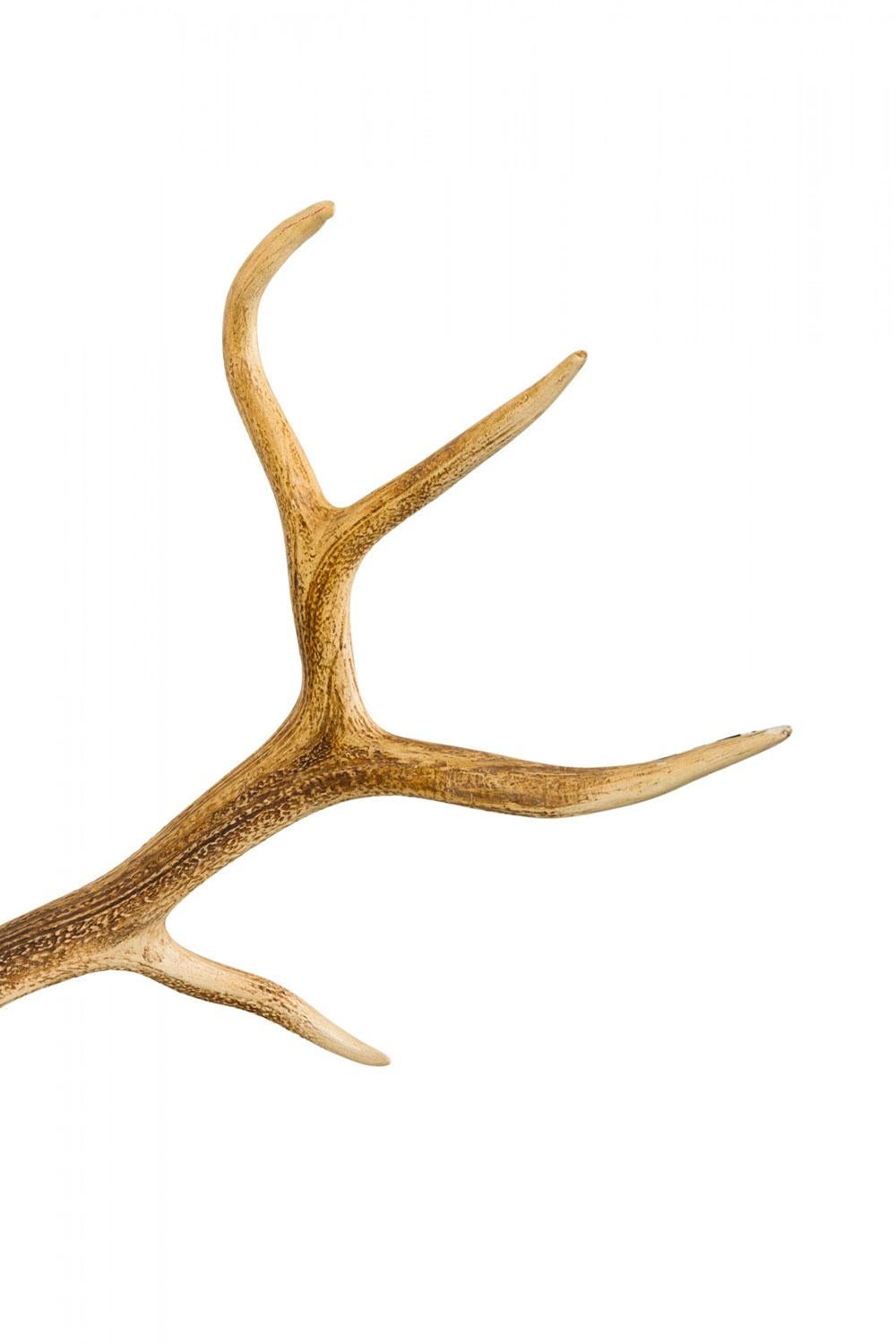 Rustikale dekorative Elchgeweih und Holz Wandtafel im Zustand „Gut“ im Angebot in Queens, NY