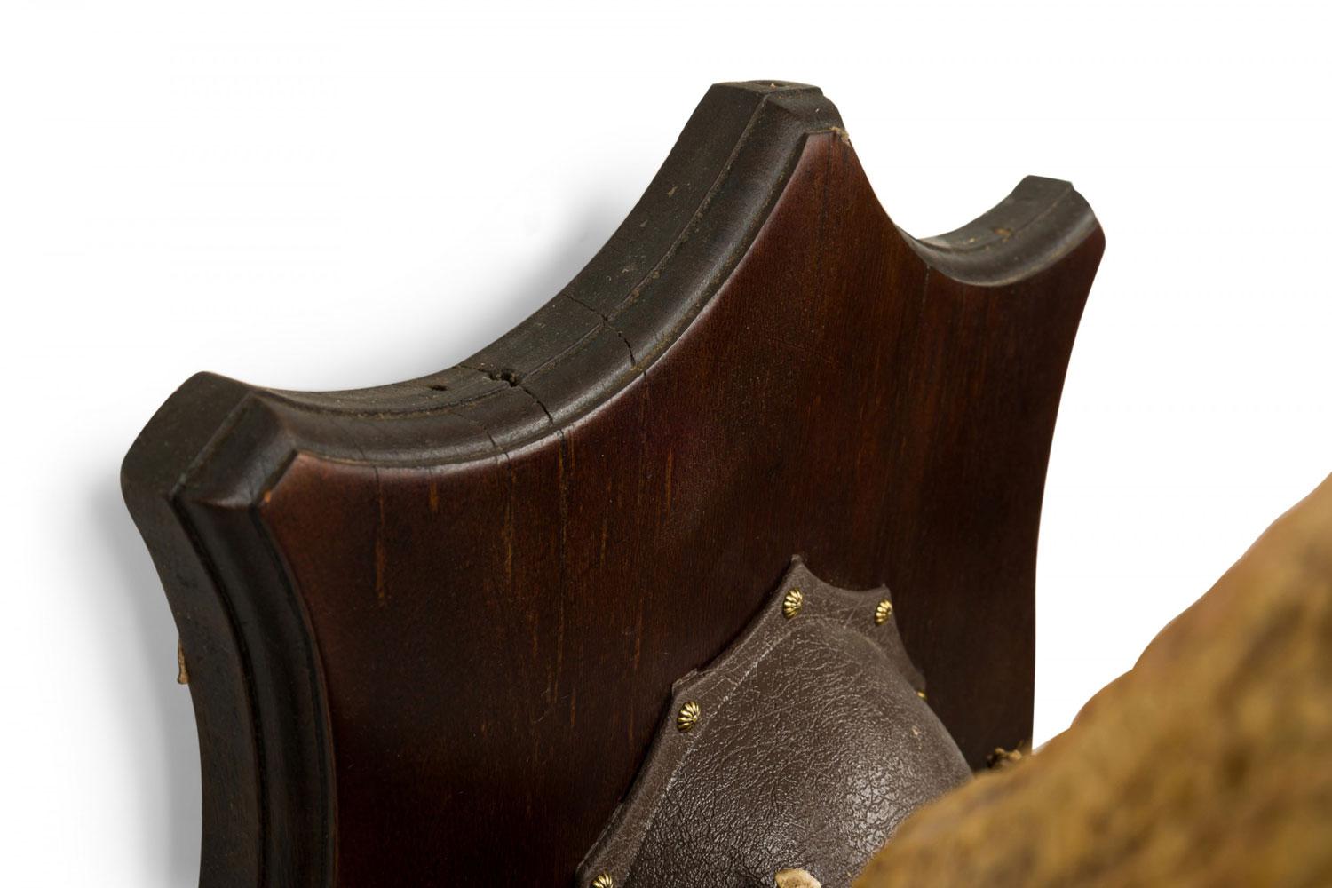 Rustikale dekorative Elchgeweih und Holz Wandtafel (19. Jahrhundert) im Angebot