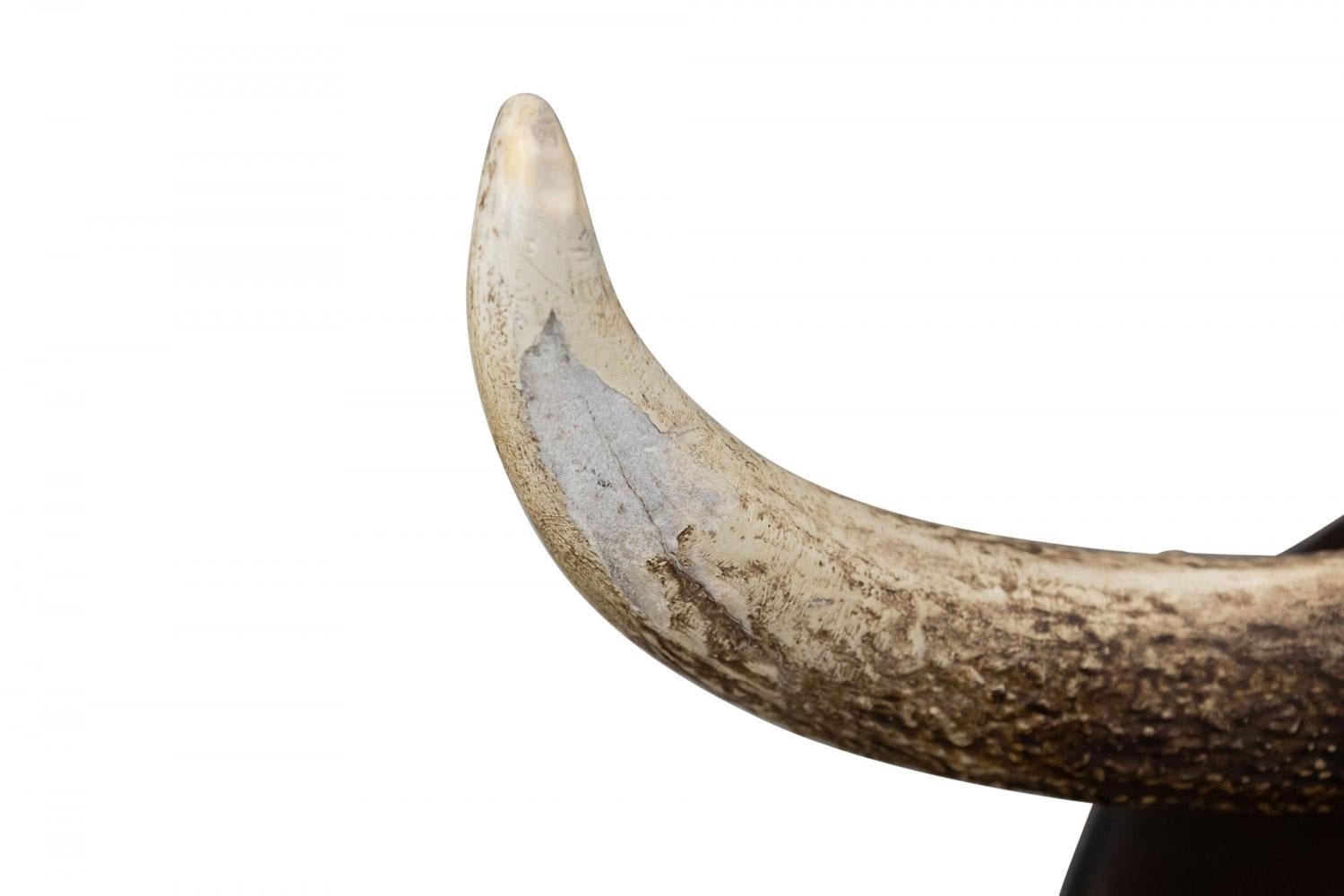 Rustikale dekorative Elchgeweih und Holz Wandtafel im Angebot 1