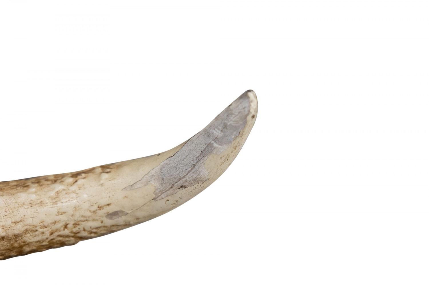 Rustikale dekorative Elchgeweih und Holz Wandtafel im Angebot 2