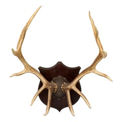 Rustic Decorative Elk Antler and Wood Wall Plaque