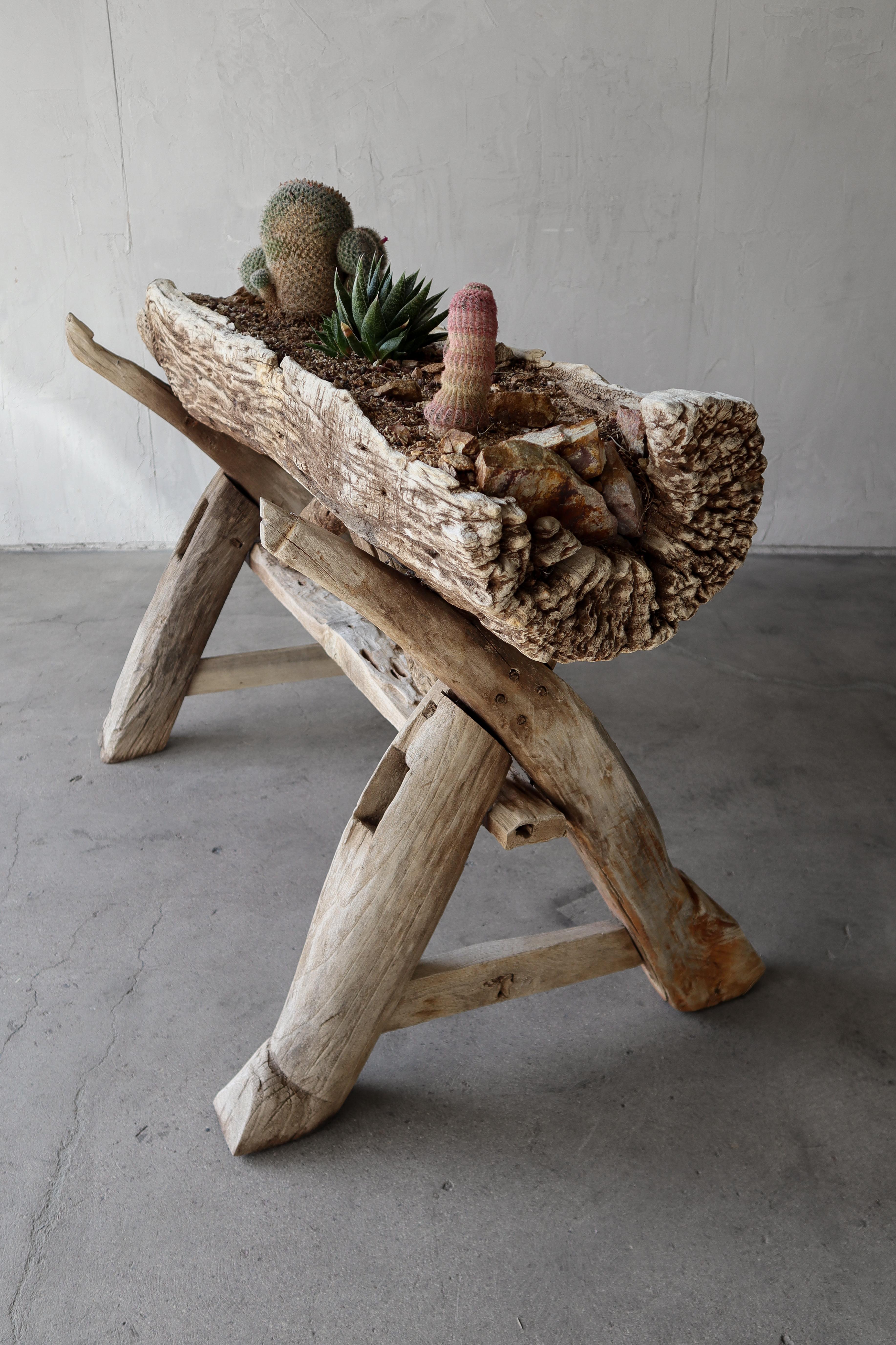 Vaso rustico in legno driftwood in vendita 2