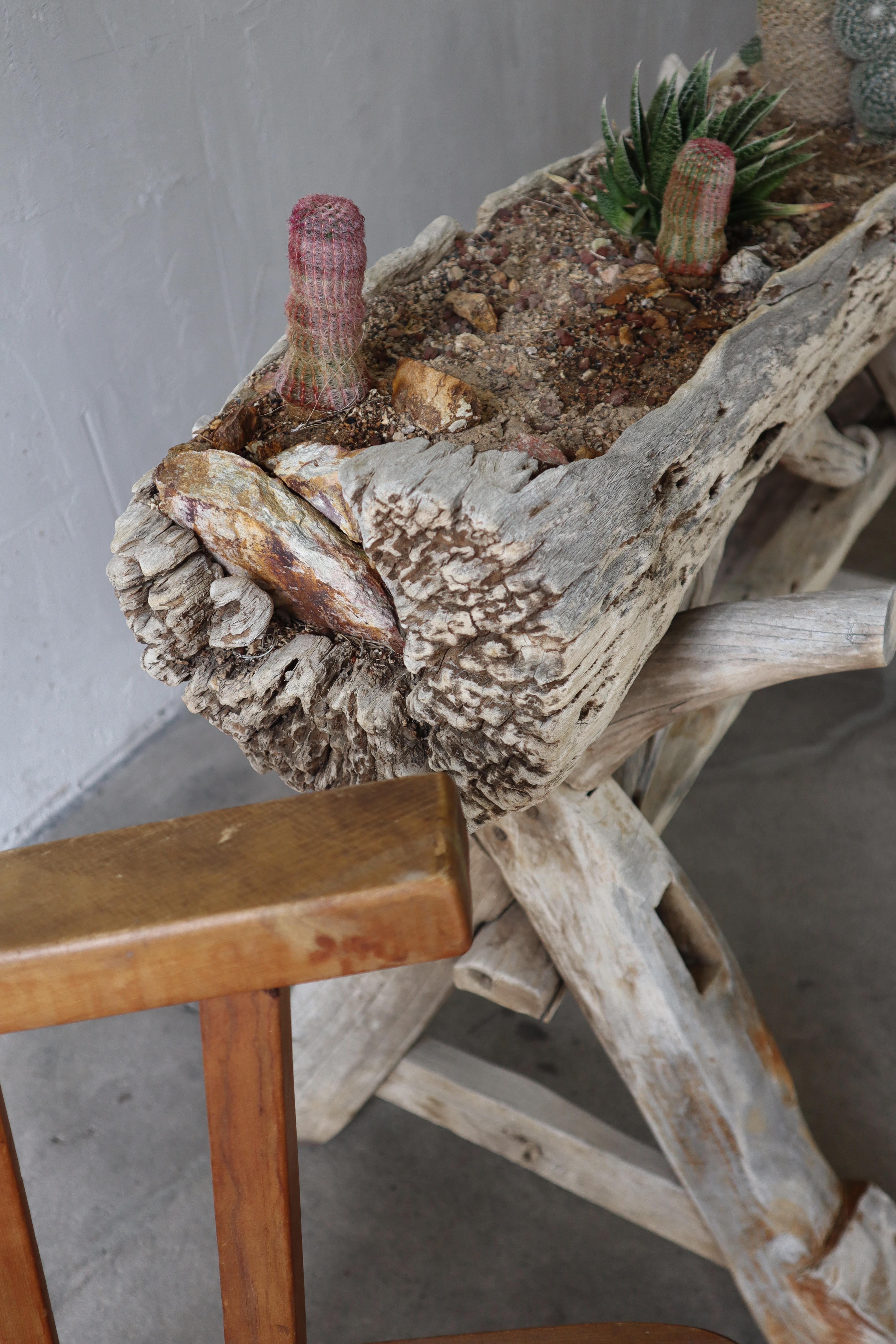 Vaso rustico in legno driftwood in vendita 3