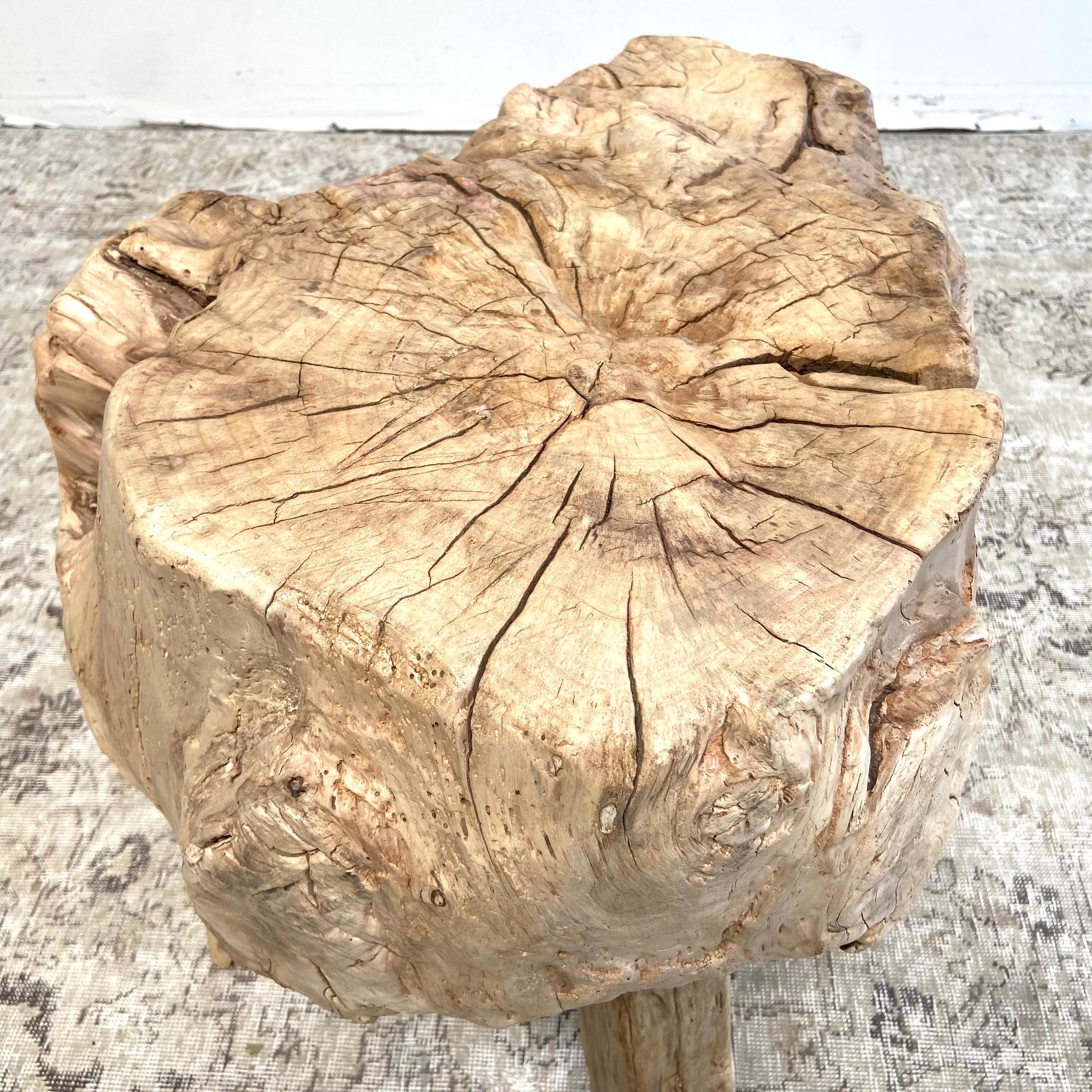 Rustic Elm Wood Stump Side Table 3
