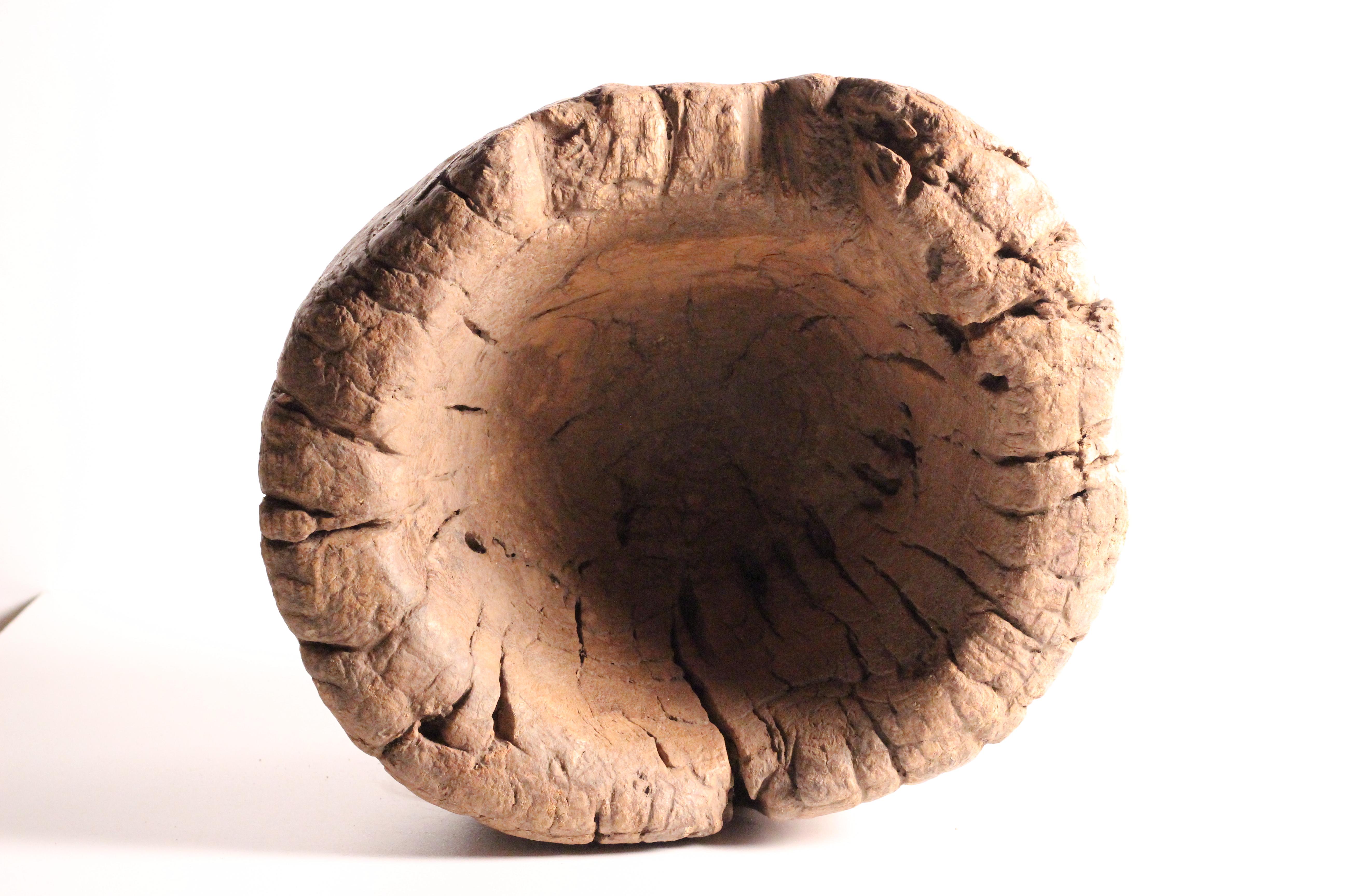 Rustic Elm Wooden Large Mortar Bowl Hand Carved from One Piece of Tree Trunk For Sale 5