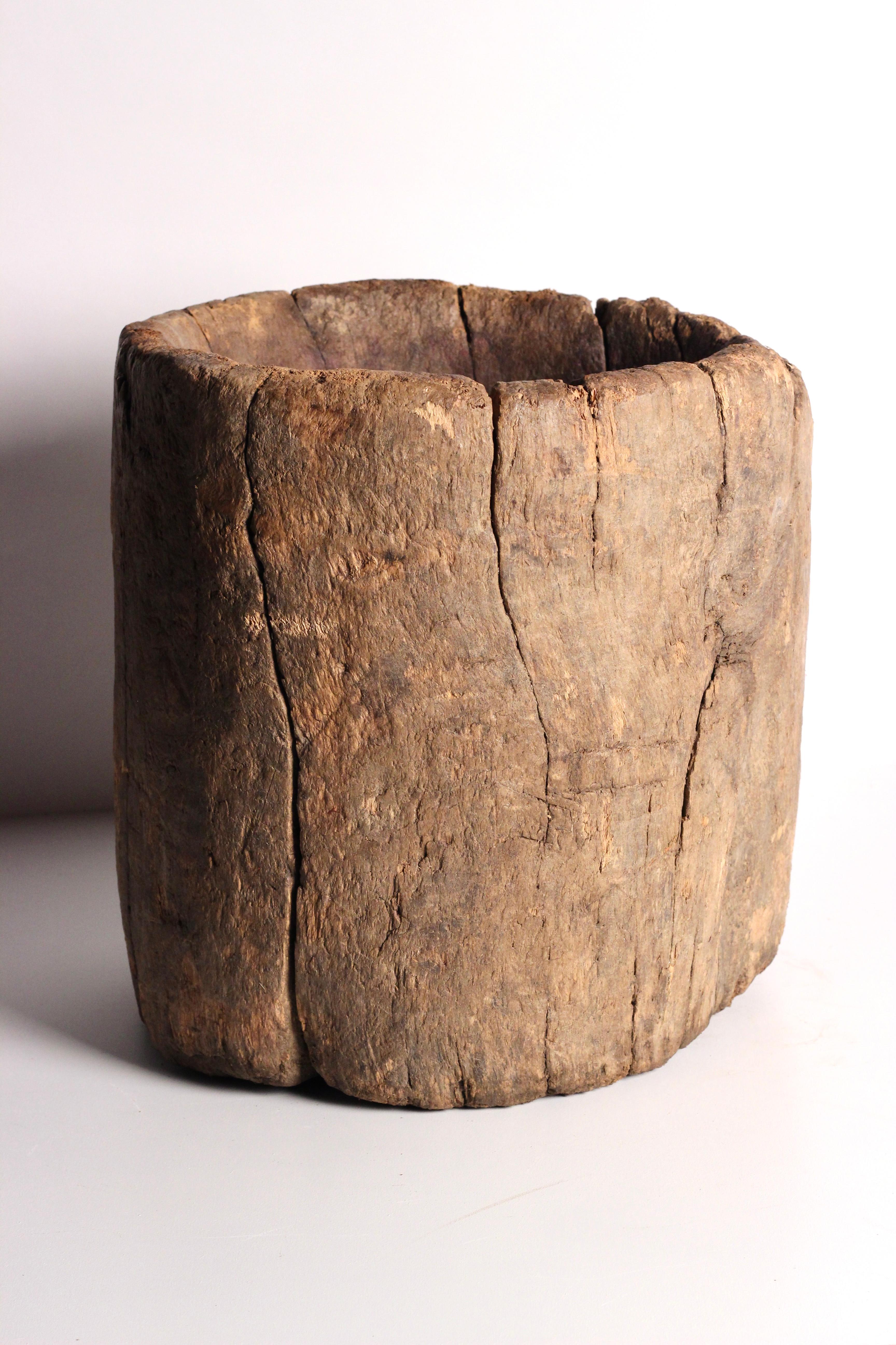 tree trunk bowl