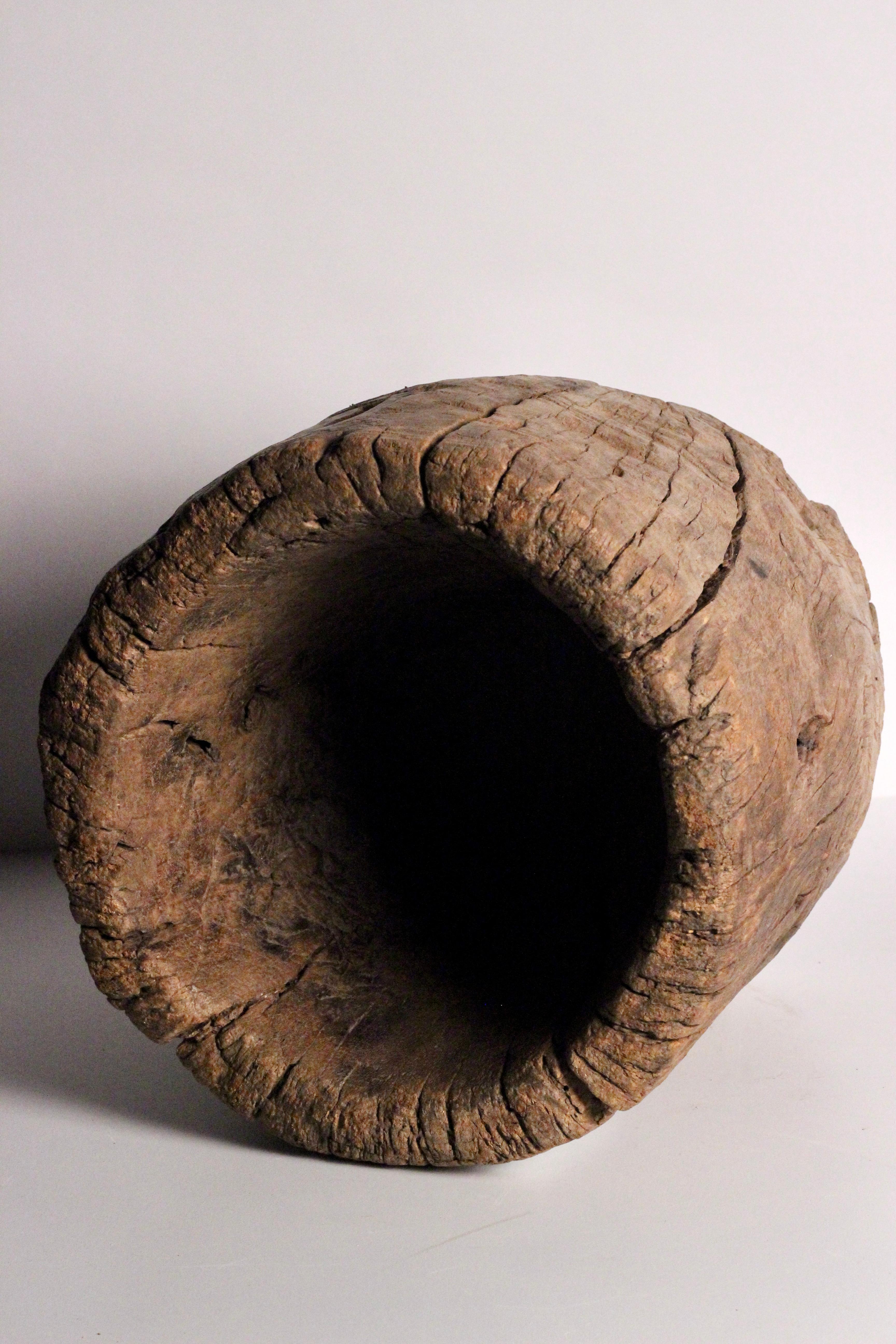 tree trunk bowl